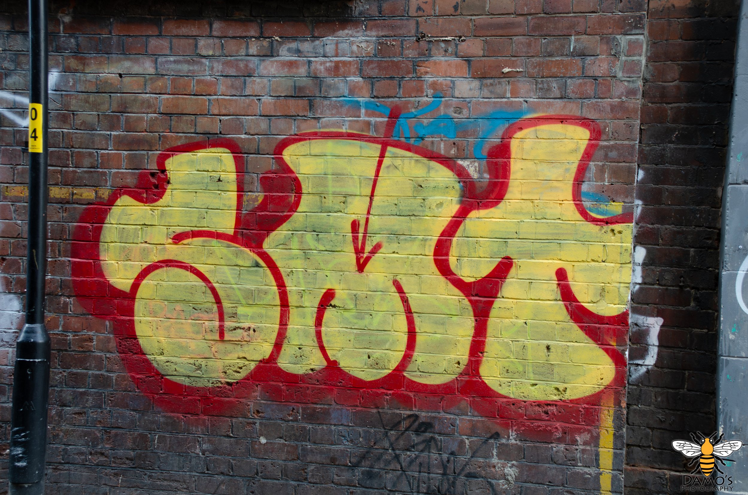 DSC_7508-Enhanced-NR.jpg