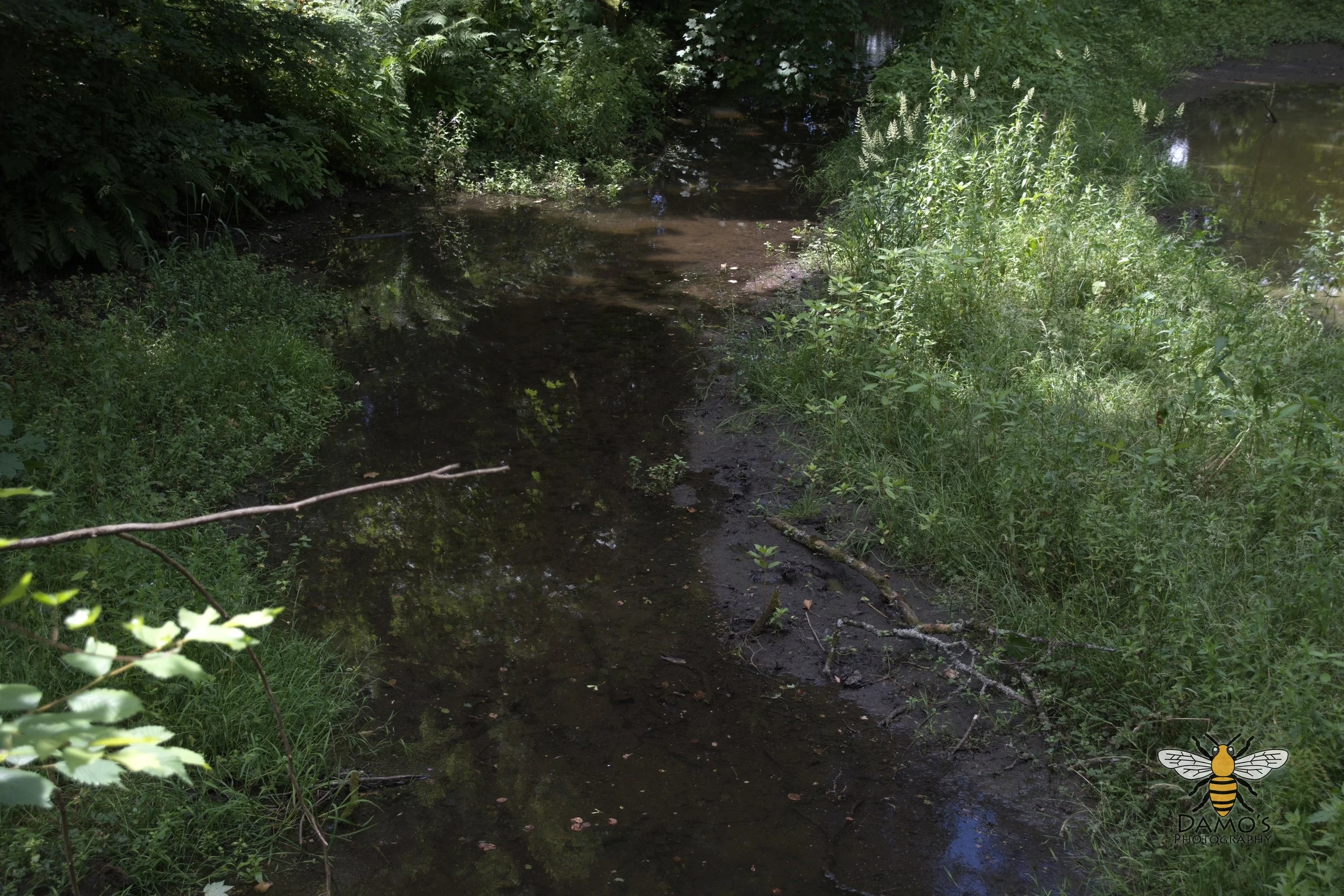 DSC_1600.jpg