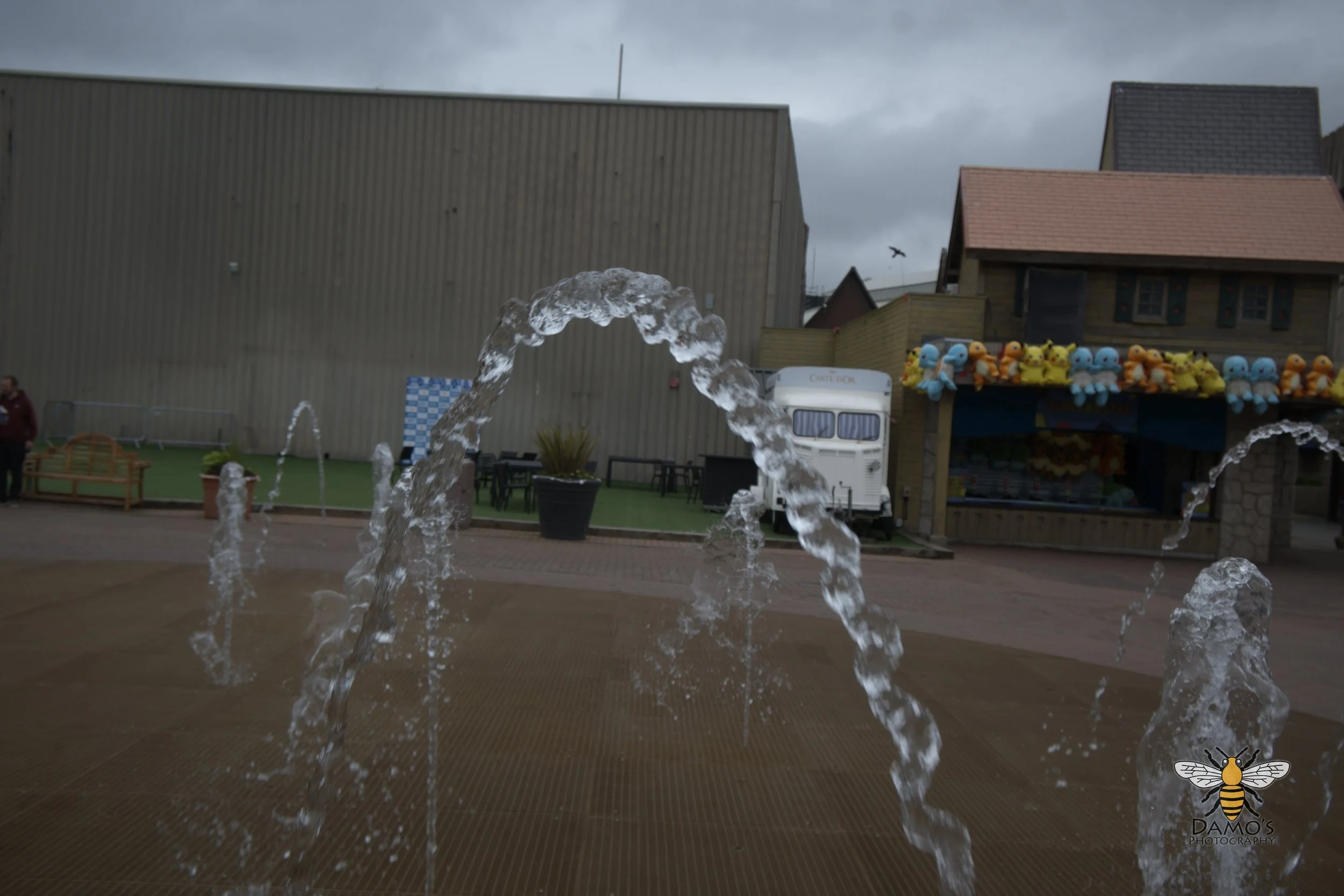 DSC_1642.jpg