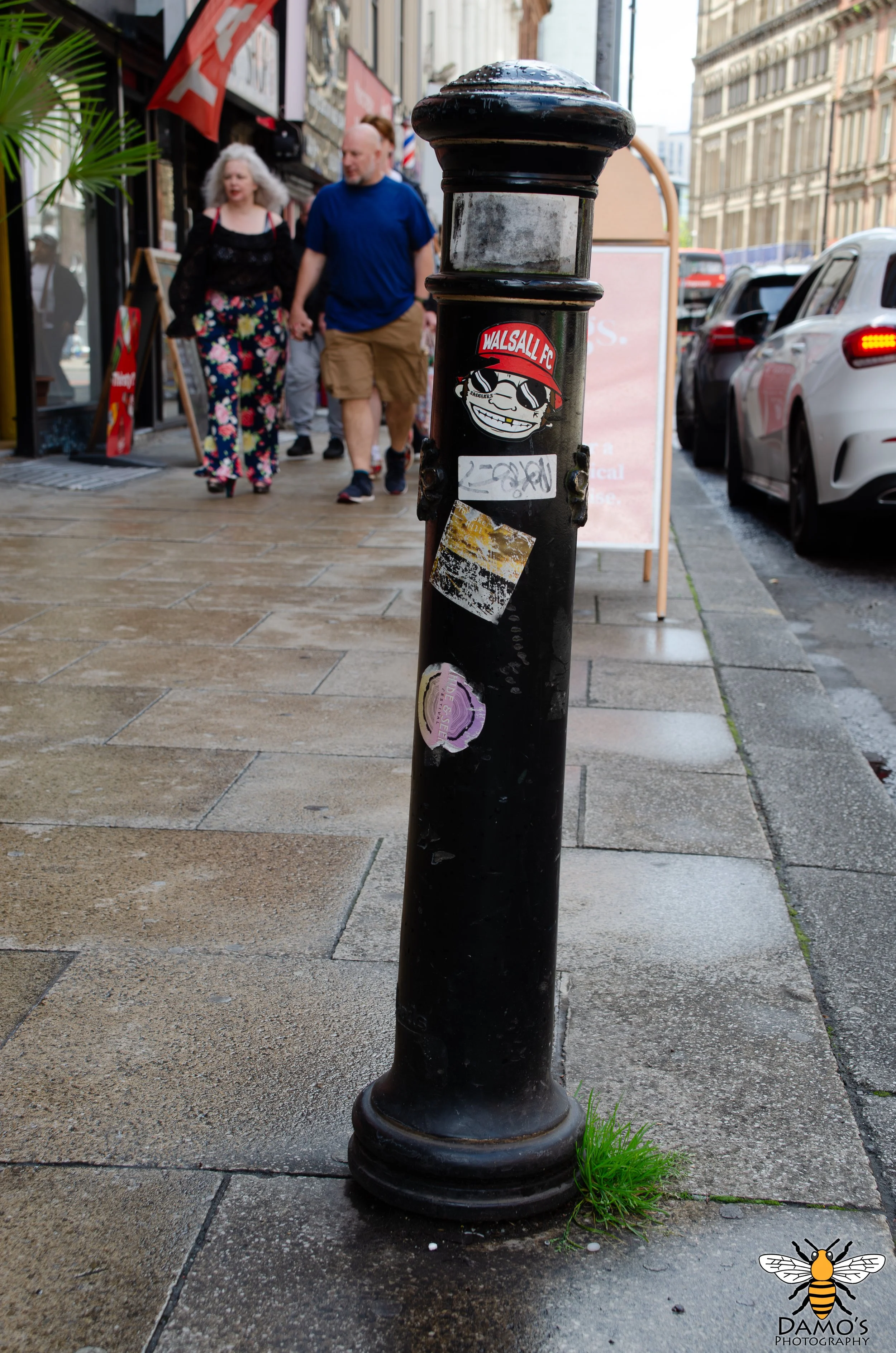 DSC_7506-Enhanced-NR.jpg