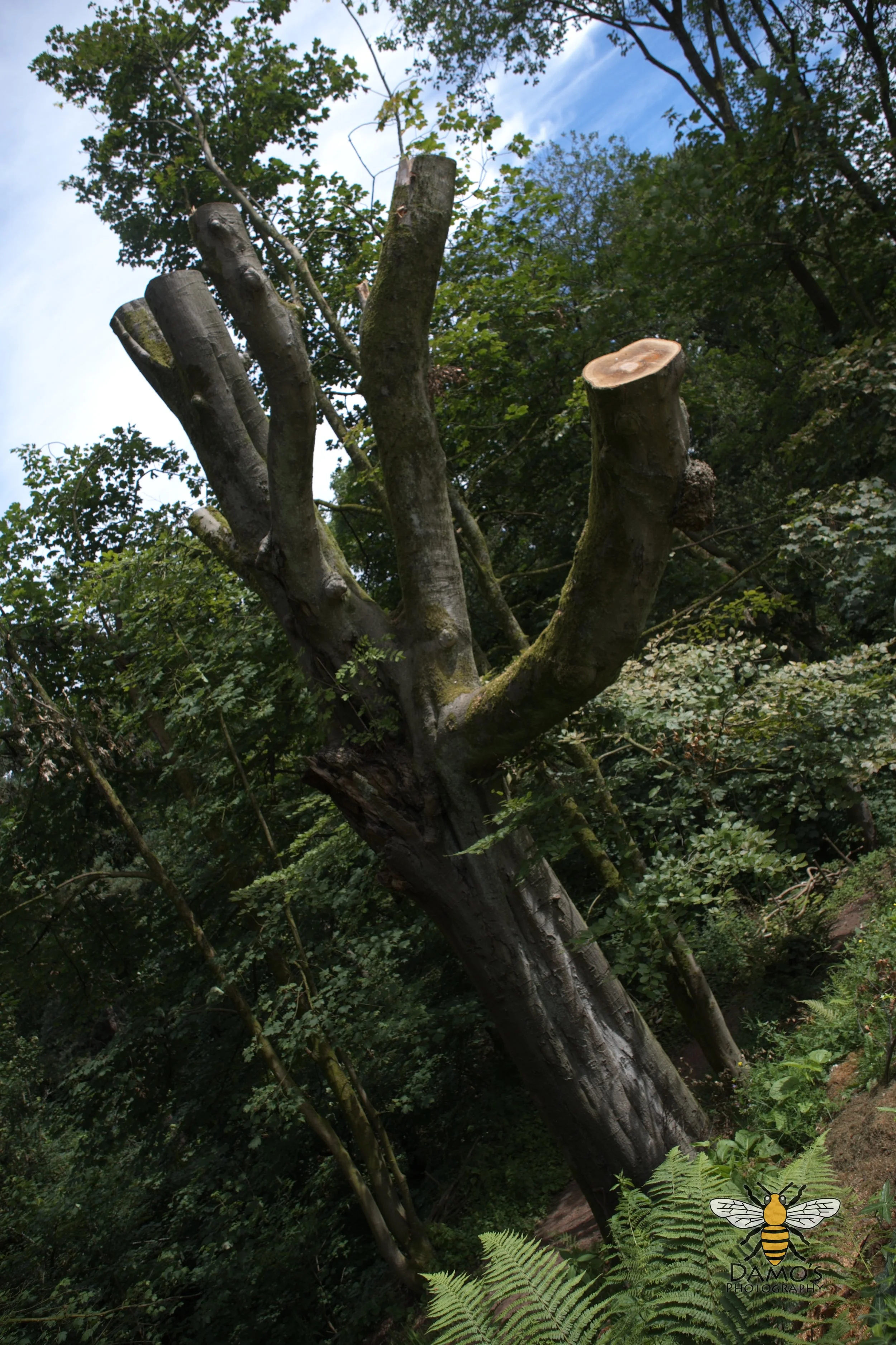 DSC_1520.jpg