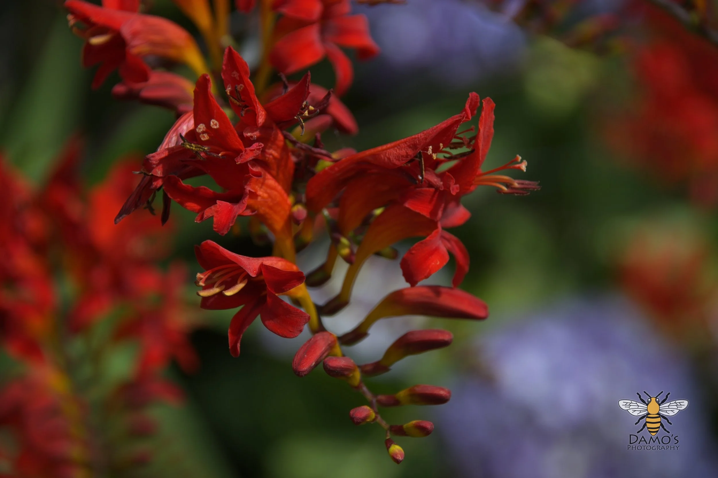 DSC_1510.jpg