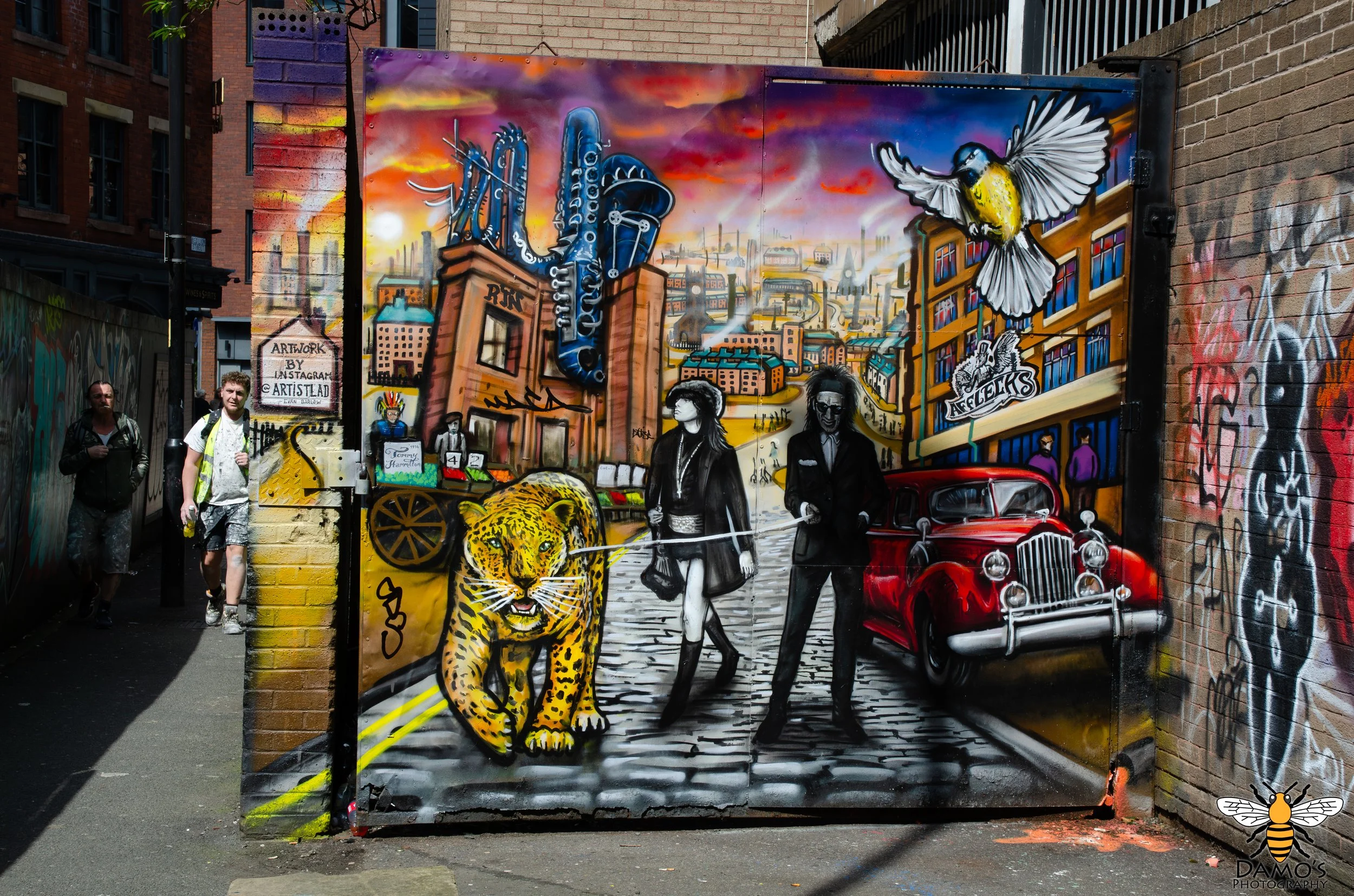 DSC_7585-Enhanced-NR.jpg