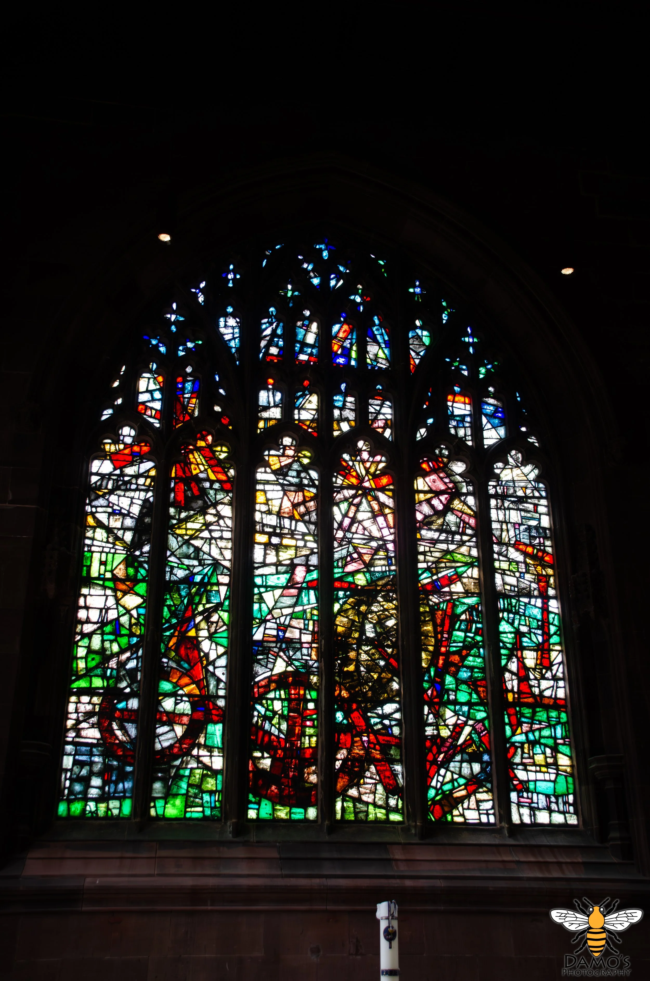 DSC_7577-Enhanced-NR.jpg