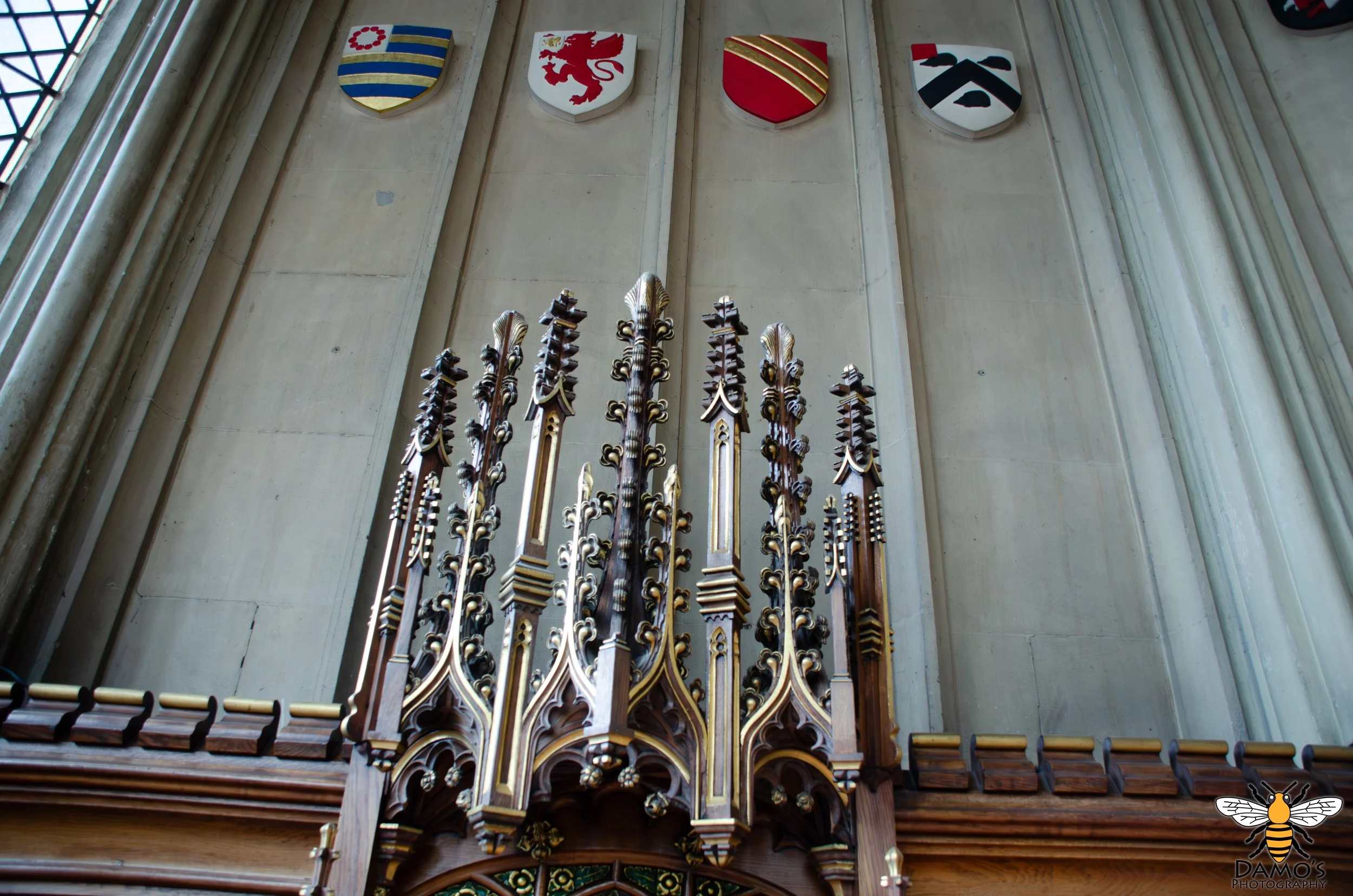 DSC_7568-Enhanced-NR.jpg