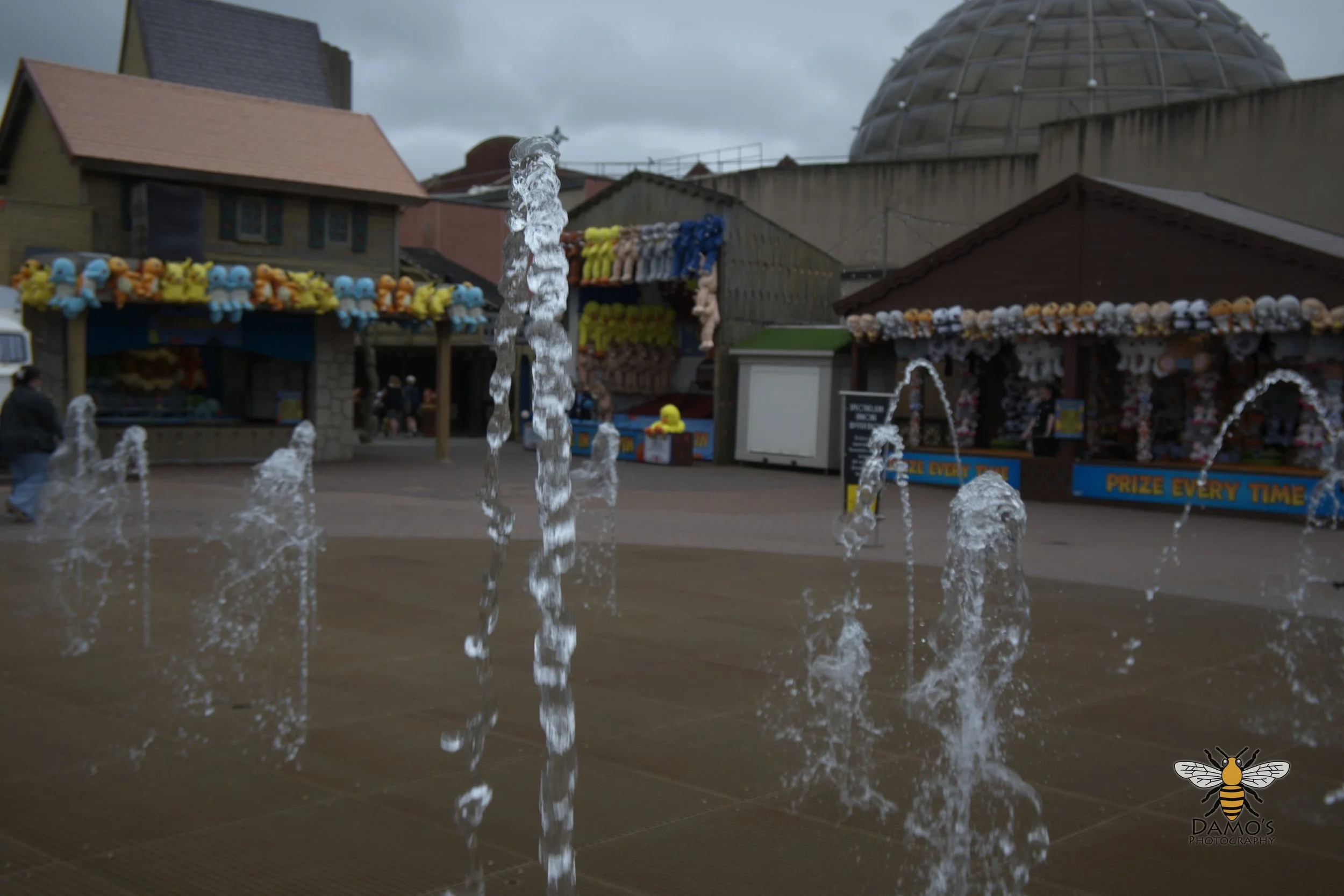 DSC_1641.jpg