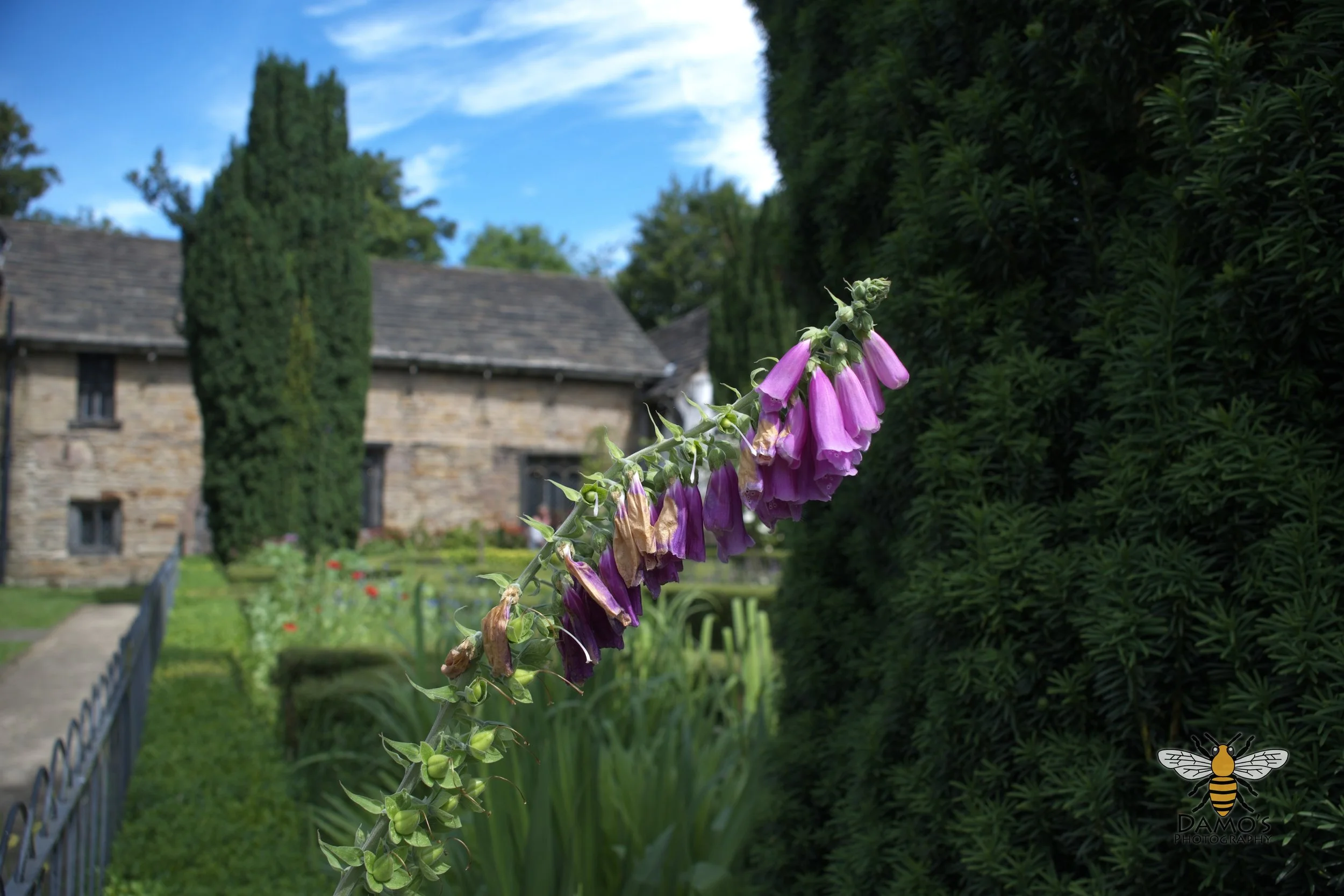 DSC_1504.jpg