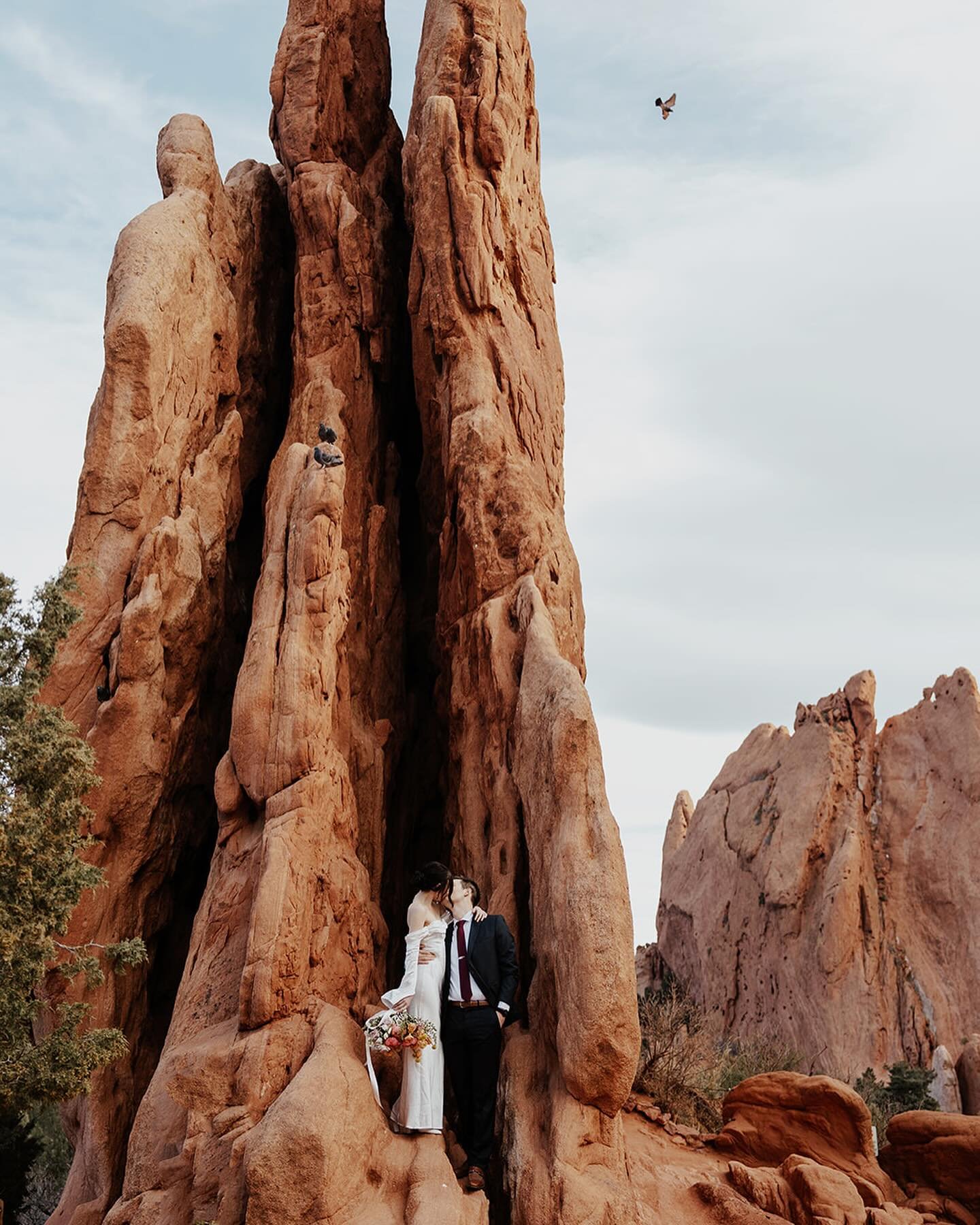 Eloping in Colorado is pretty cool if you ask me 🗻💛

. . .
Photographers | @melissa.anne.photo + @stefanievanessaphoto 
Floral | @provisionfloral 
HMUA | @b.renhair + @carlydaymakeup 
Models | @model.couple.colorado 

. . .
Mountain elopement, wedd