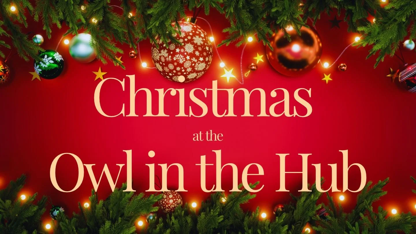 Bromham Community Hub - Owl in the Hub Christmas