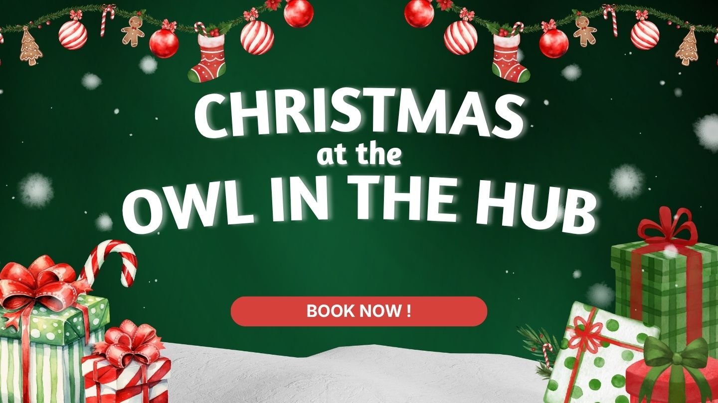 Bromham Community Hub - Owl in the Hub Christmas