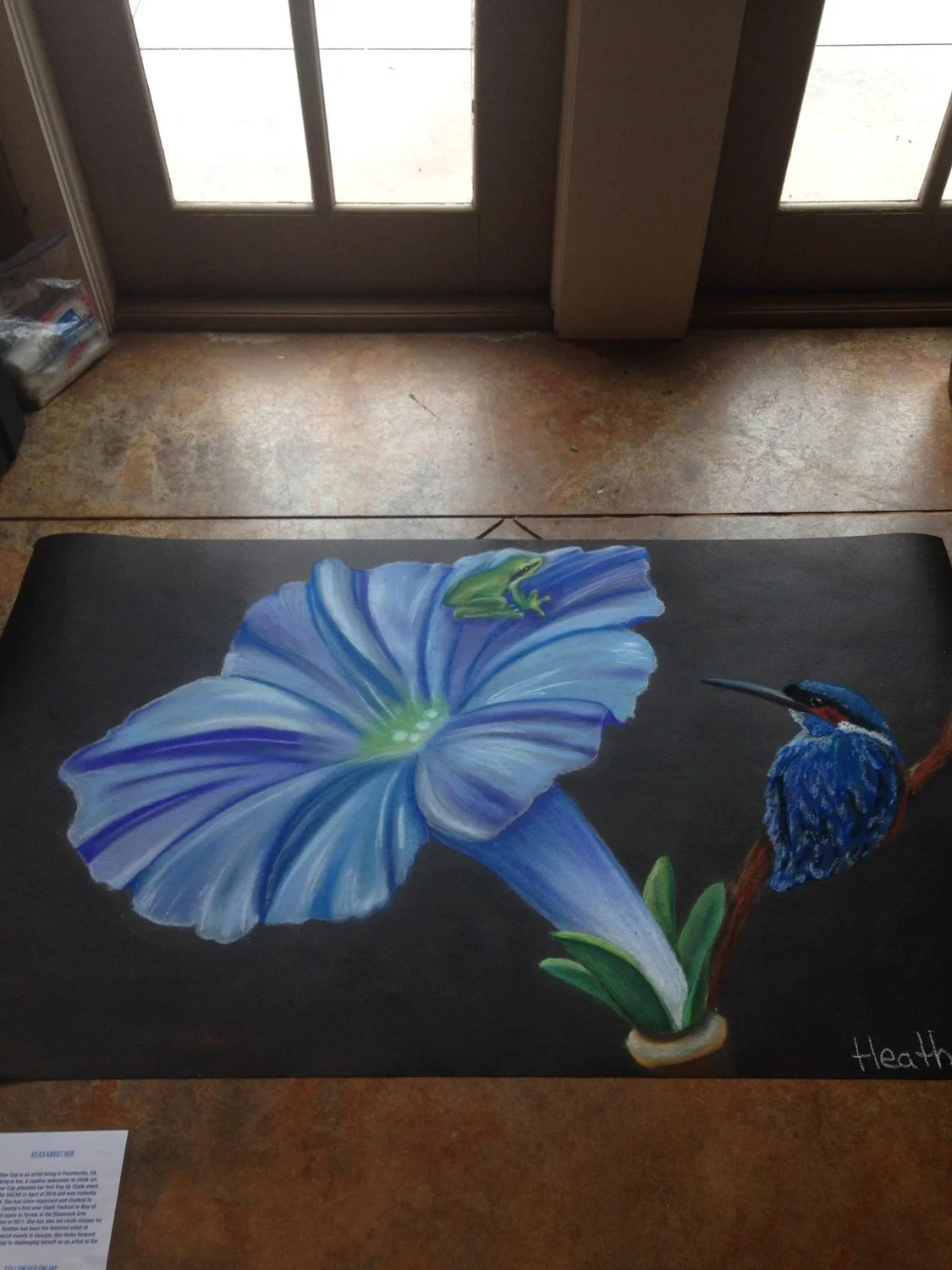 Heather-Cap-chalk-art-morning-glory-flower-hummingbird.jpg