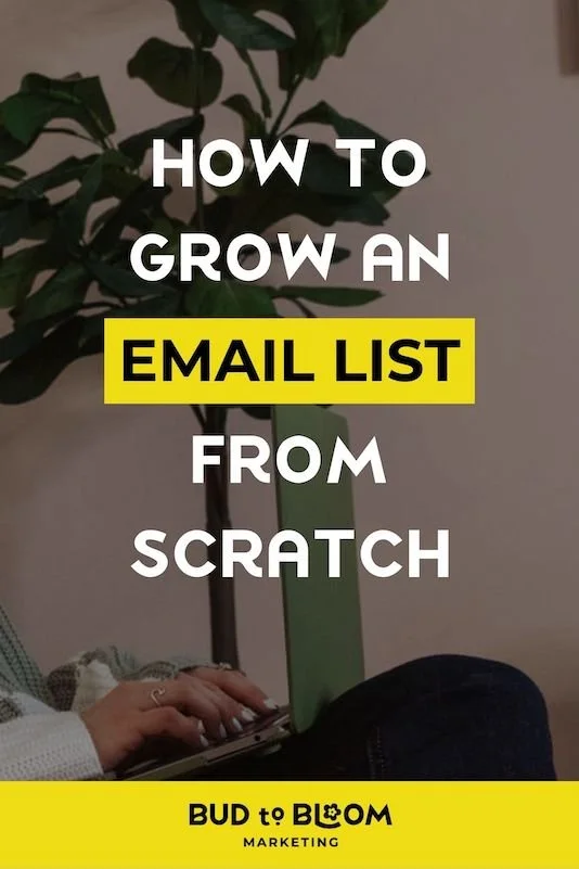 How to Grow an Email List from Scratch + Lead Magnet Ideas | Bud to ...