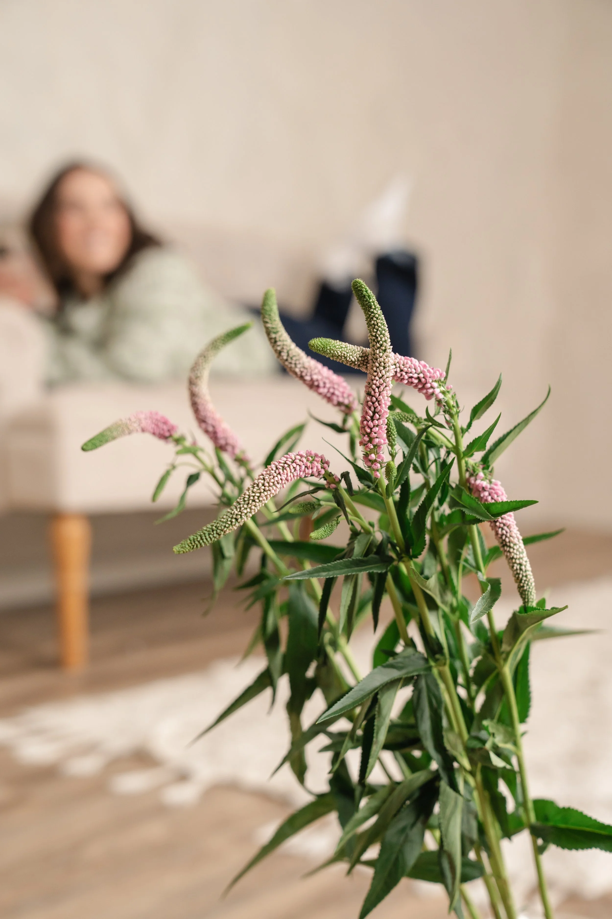 Blurred out Karley founder of Bud to Bloom laying on couch in background, focused on flower in the foreground