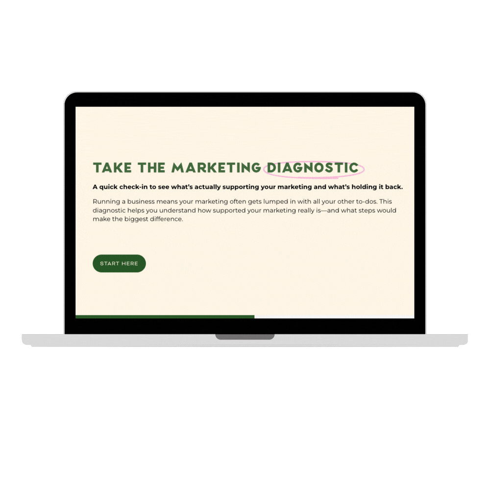 Marketing Diagnostic for Established Businesses