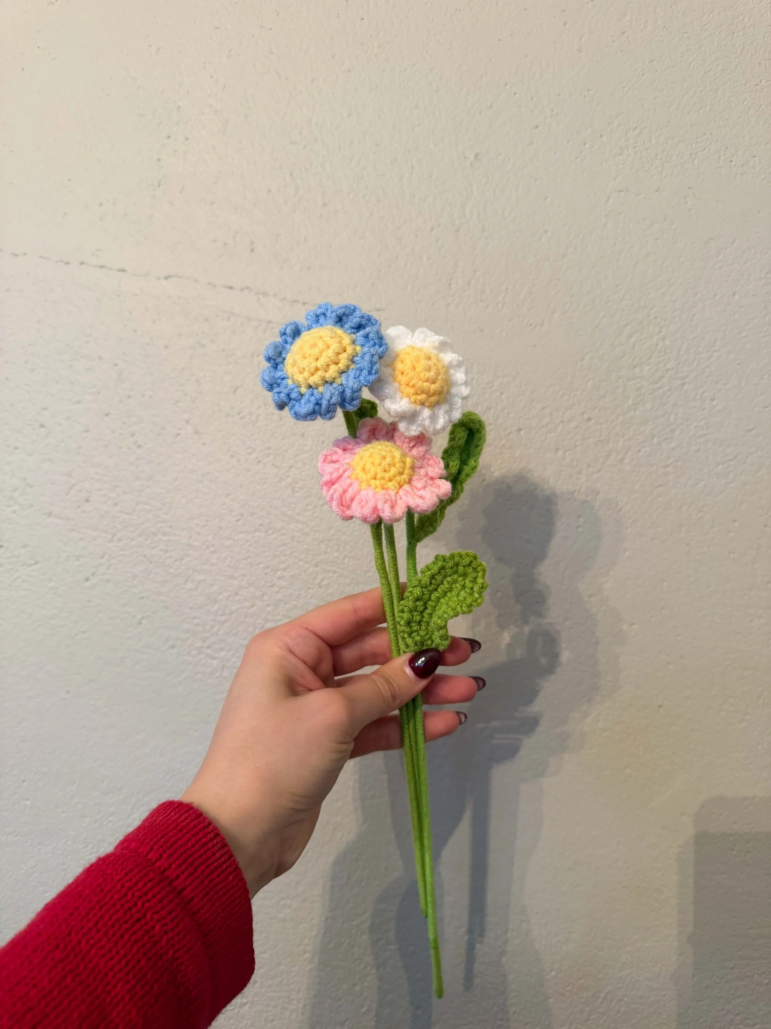 Daisy3.jpg