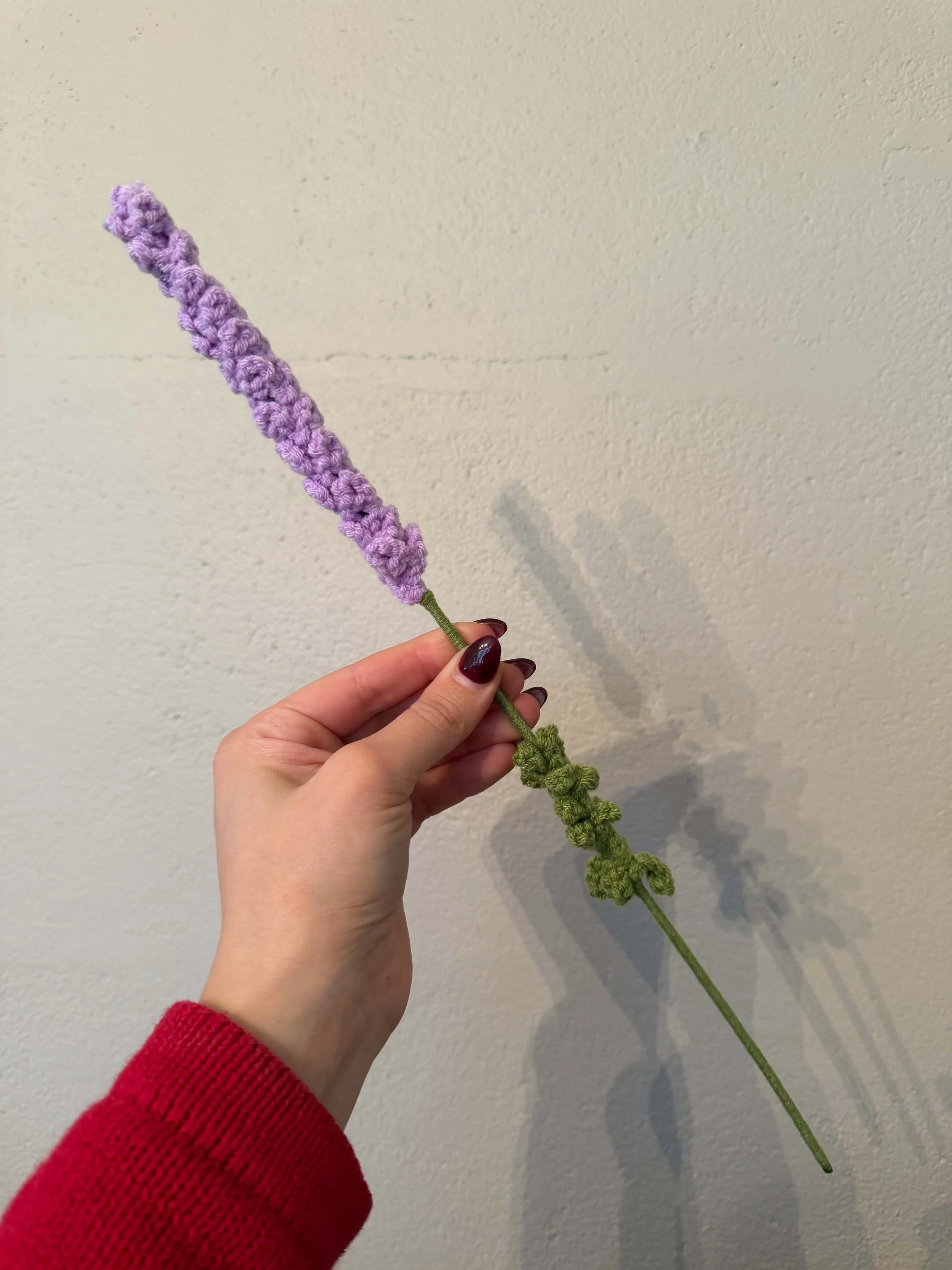 Lavender4.jpg