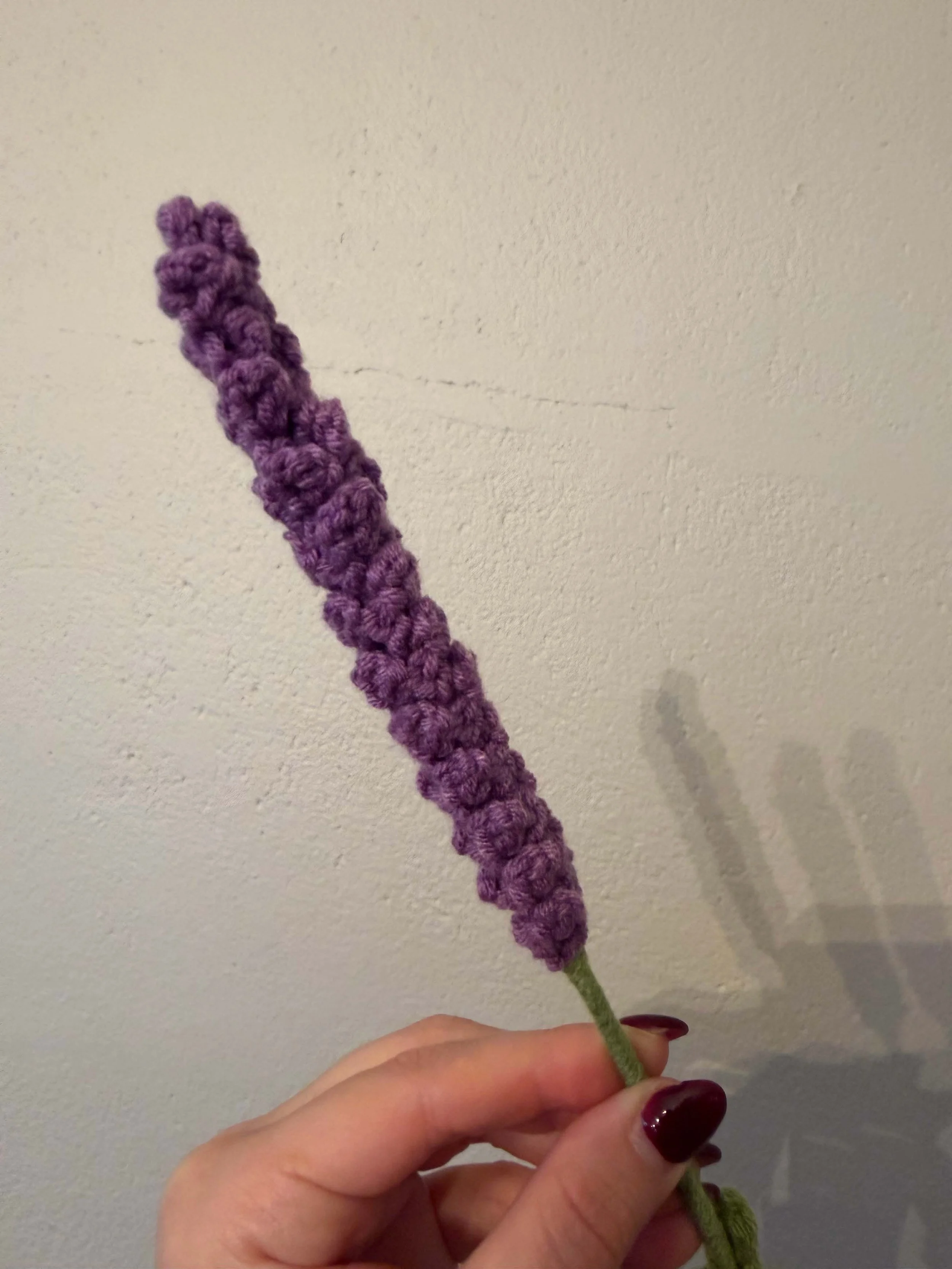 Lavender3.jpg