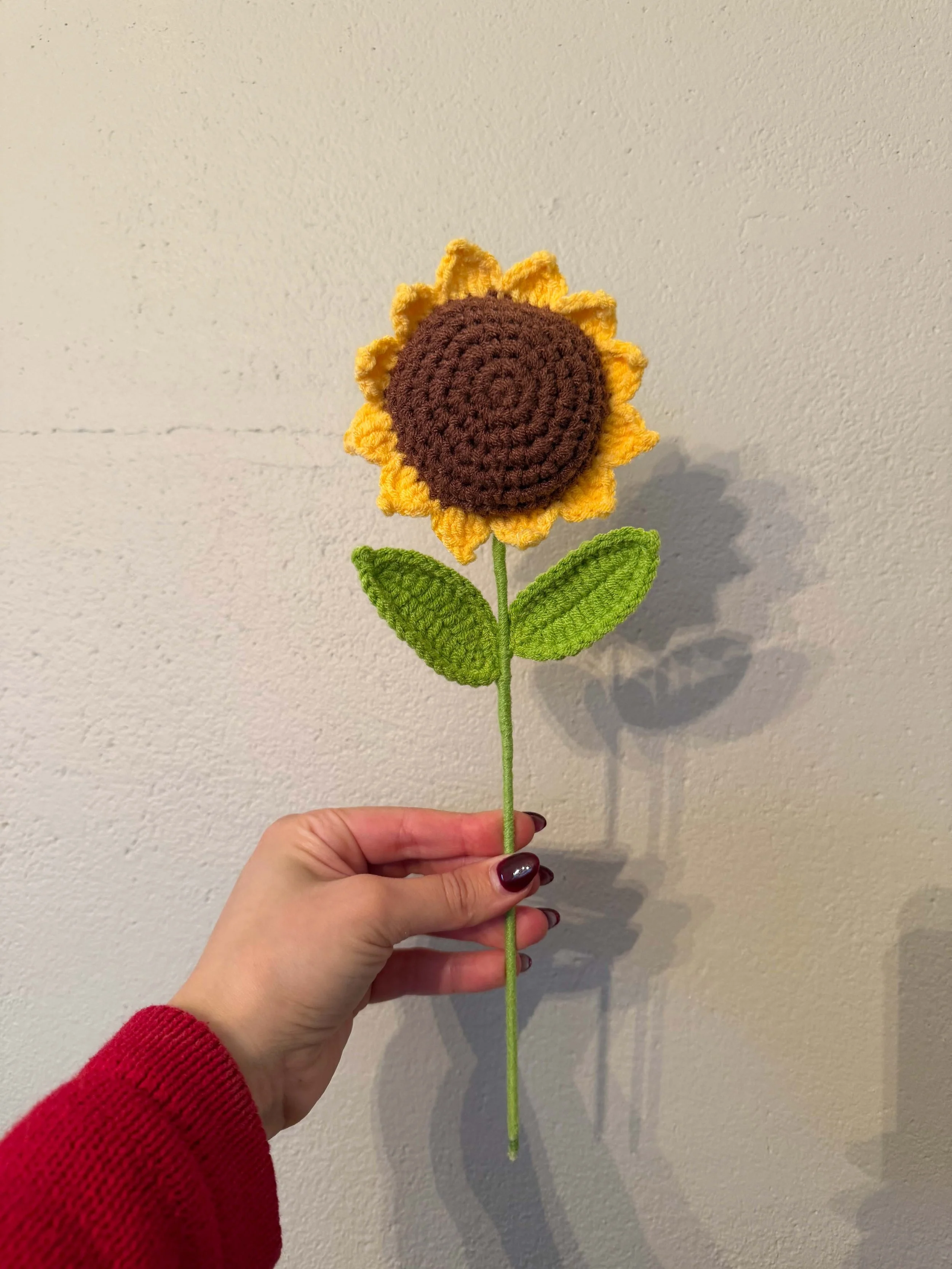 Sunflower2.jpg