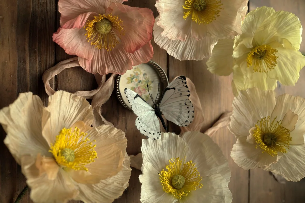 Arrangement of dried poppy flowers in shades of pink, white, and yellow surrounding a decorative compact mirror with a floral design, and a white and black butterfly with spread wings on dark wooden surface.