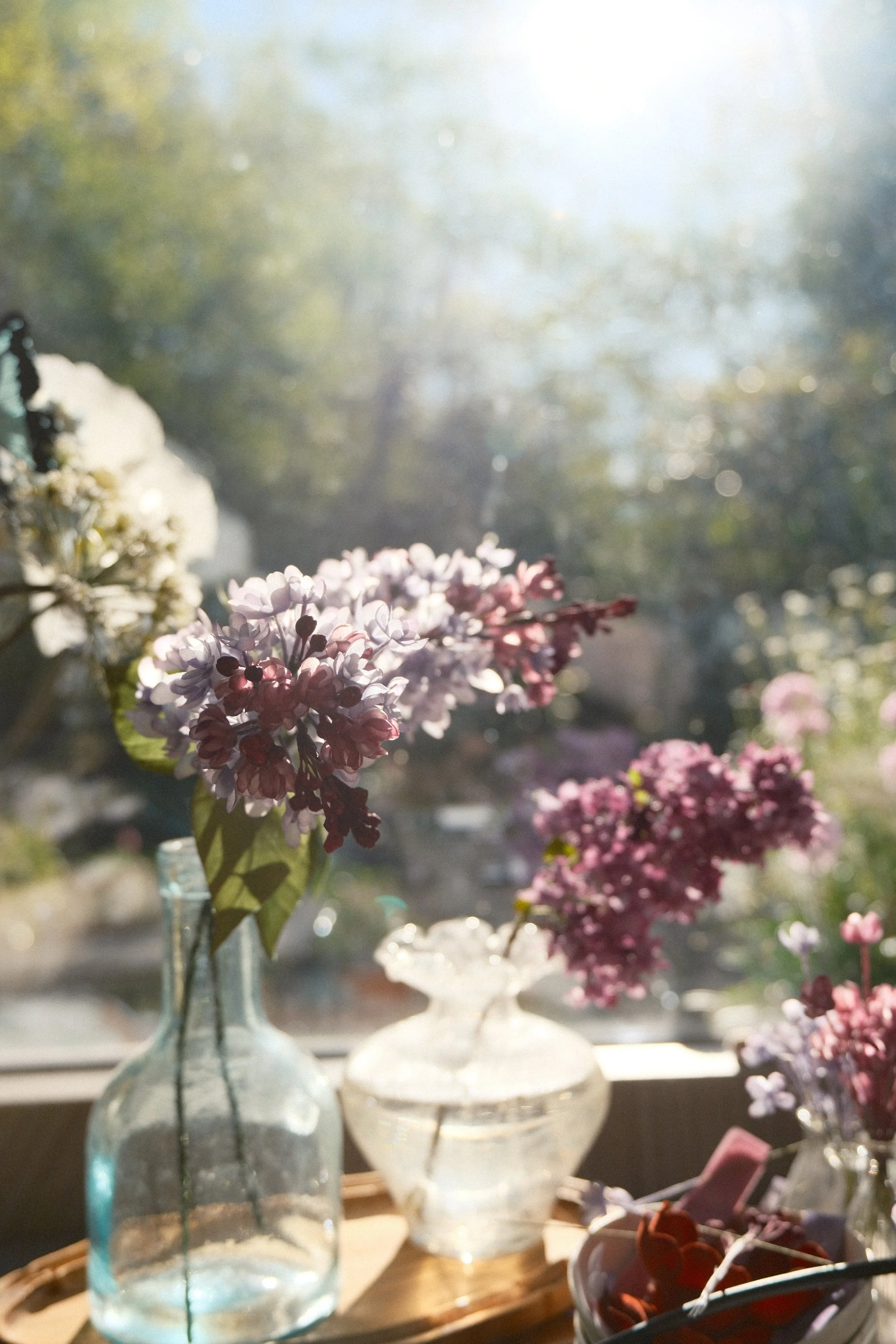 Sunlight streaming through a window onto a table with glass vases filled with pink and white flowers, blurred background.