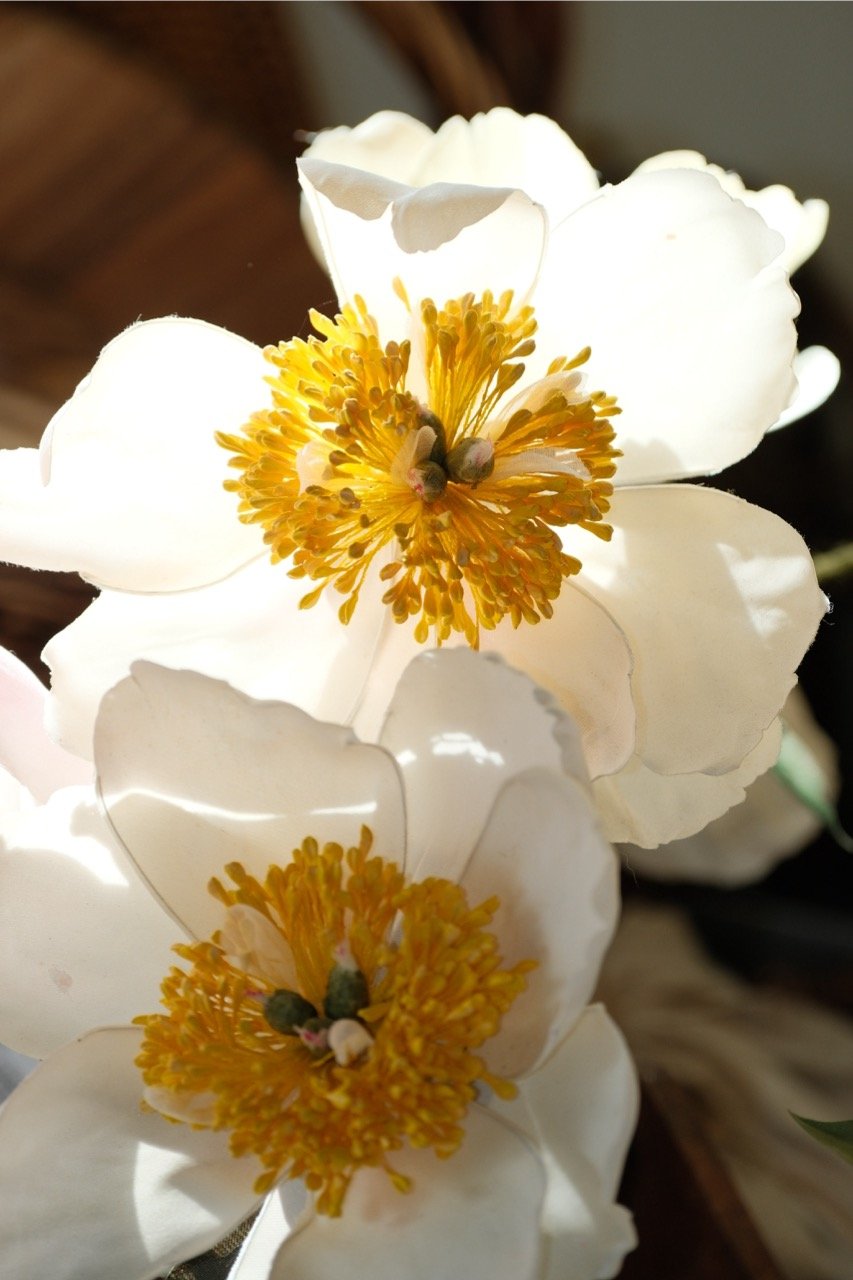 Close-up of a white flower with yellow stamens and greenish pistil.
