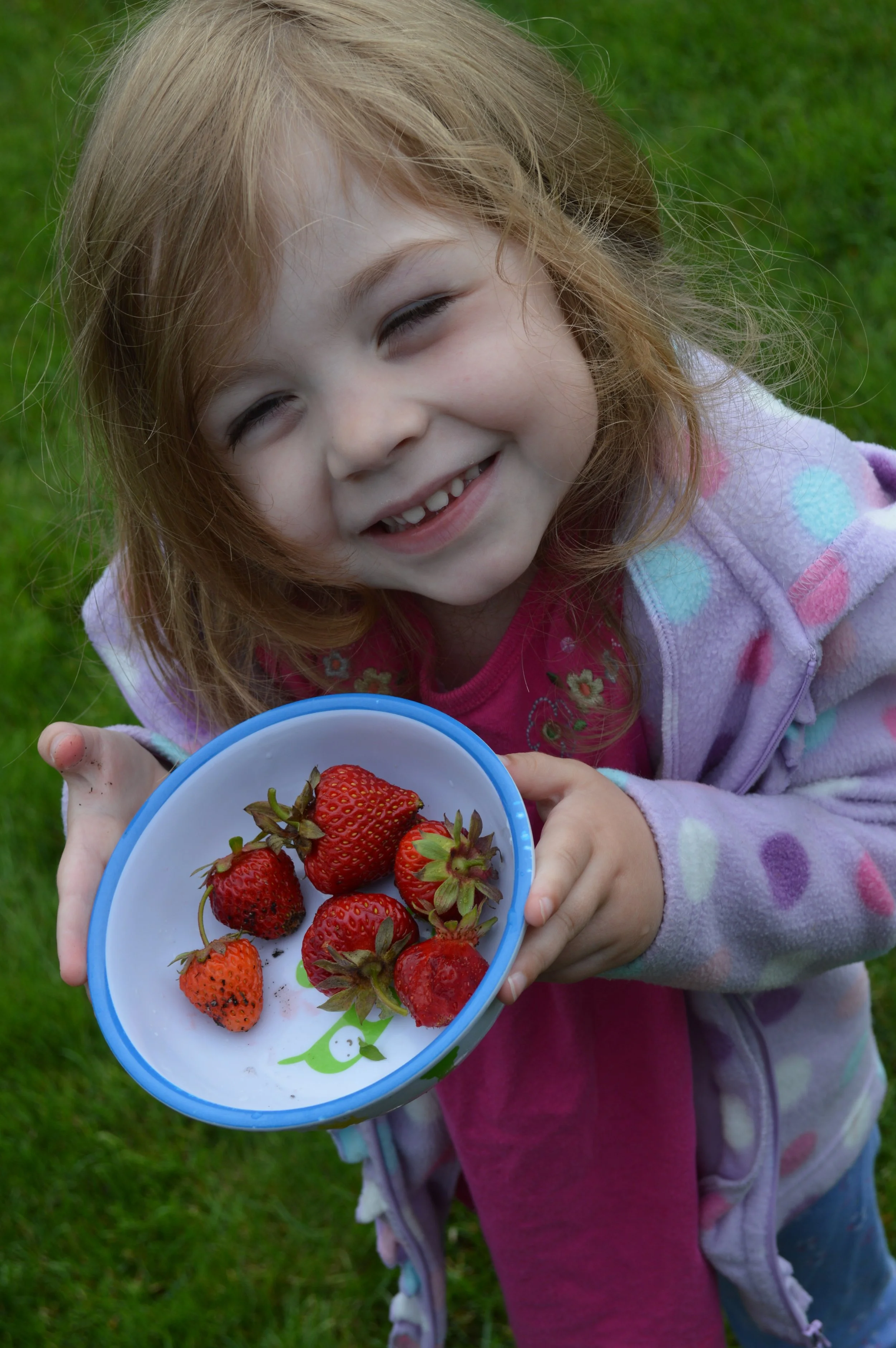 Strawberry Social