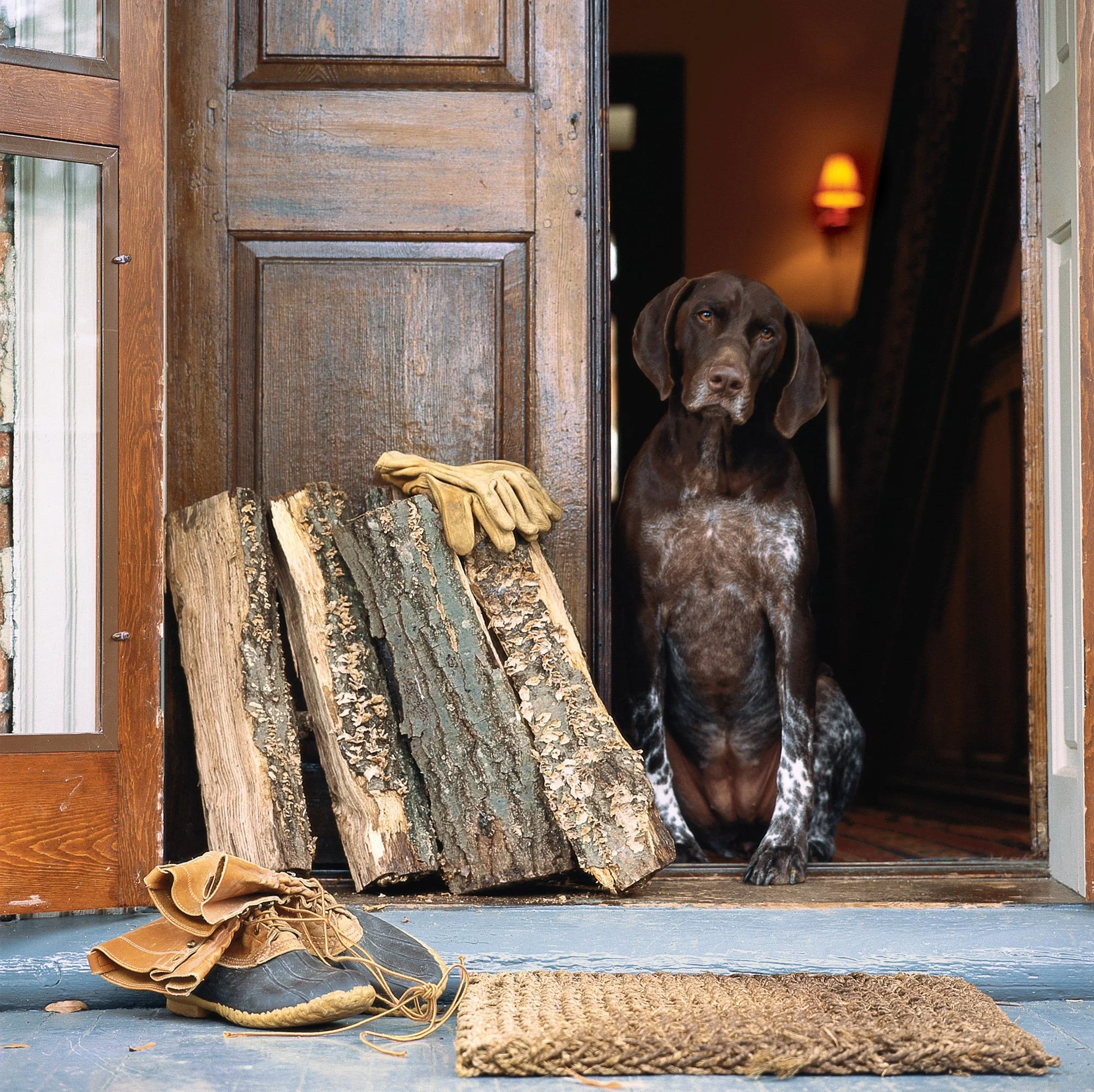 uxury-estate-lifestyle-photography-hunting-dog-firewood-doorway-by-kip-dawkins