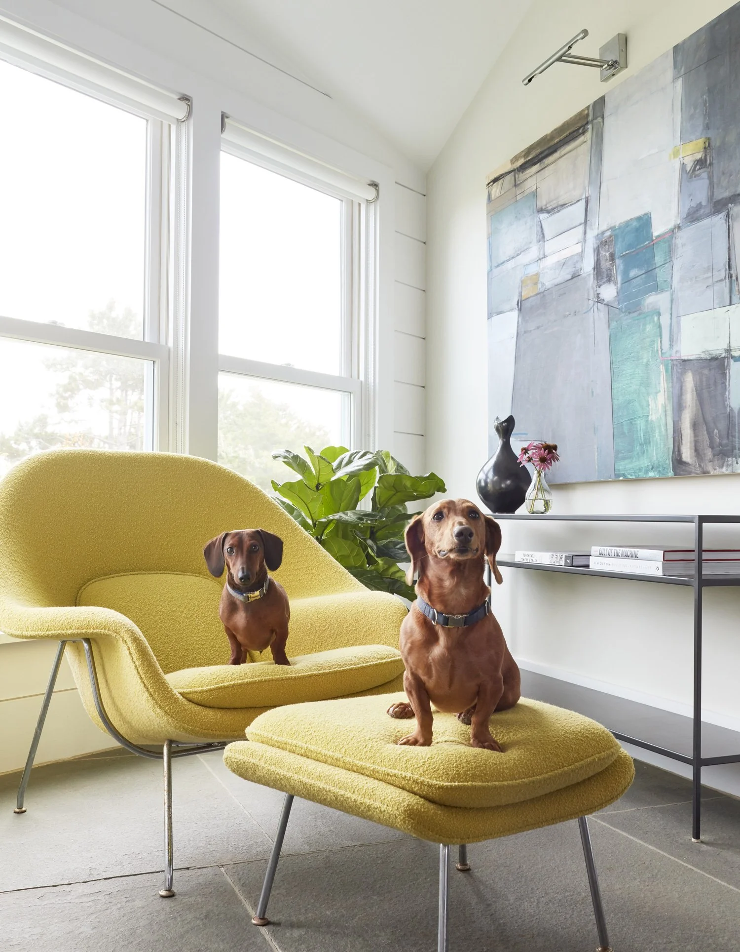 editorial-residential-interior-photography-yellow-mid-century-chair-dogs-by-kip-dawkins