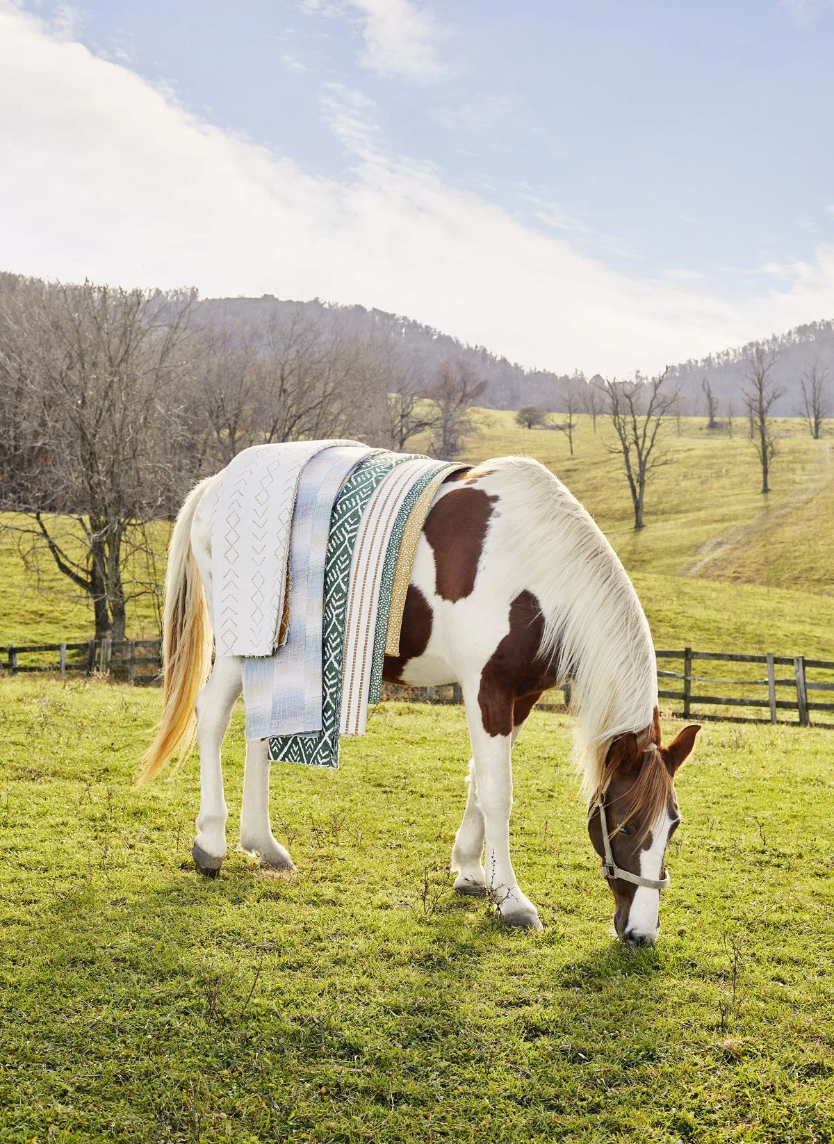 thibaut-commercial-brand-lifestyle-photography-countryside-paint-horse-by-kip-dawkins