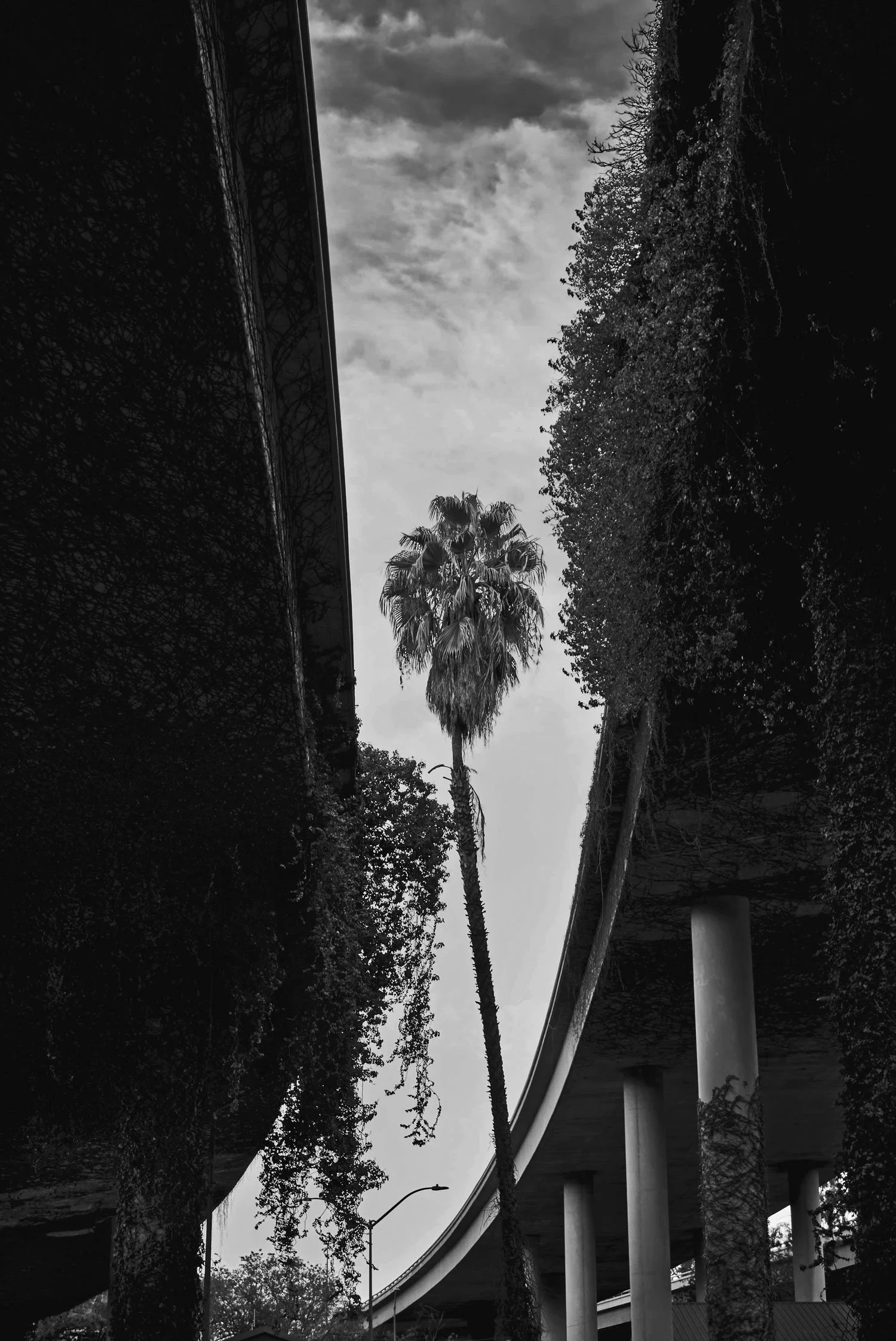 stark-architectural-urban-landscape-palm-tree-black-and-white-by-kip-dawkinsImage 8 (Bottom Middle - Desolate Old Wooden Church in Desert Field)Paste this: historic-abandoned-desert-church-fine-art-documentary-photography-by-kip-dawkinsImage 9 (Botto