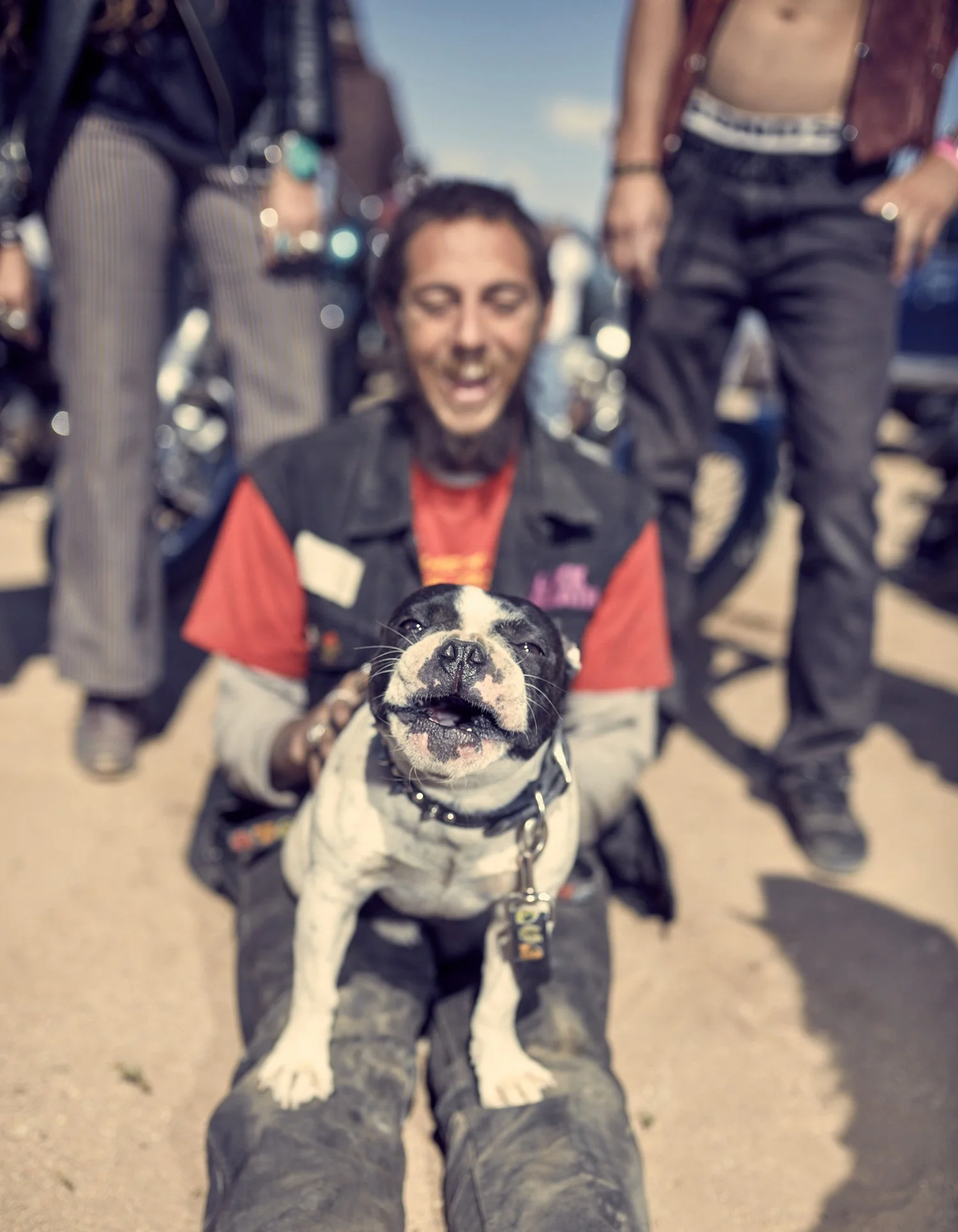 custom-biker-culture-portrait-french-bulldog-mojave-desert-by-kip-dawkins