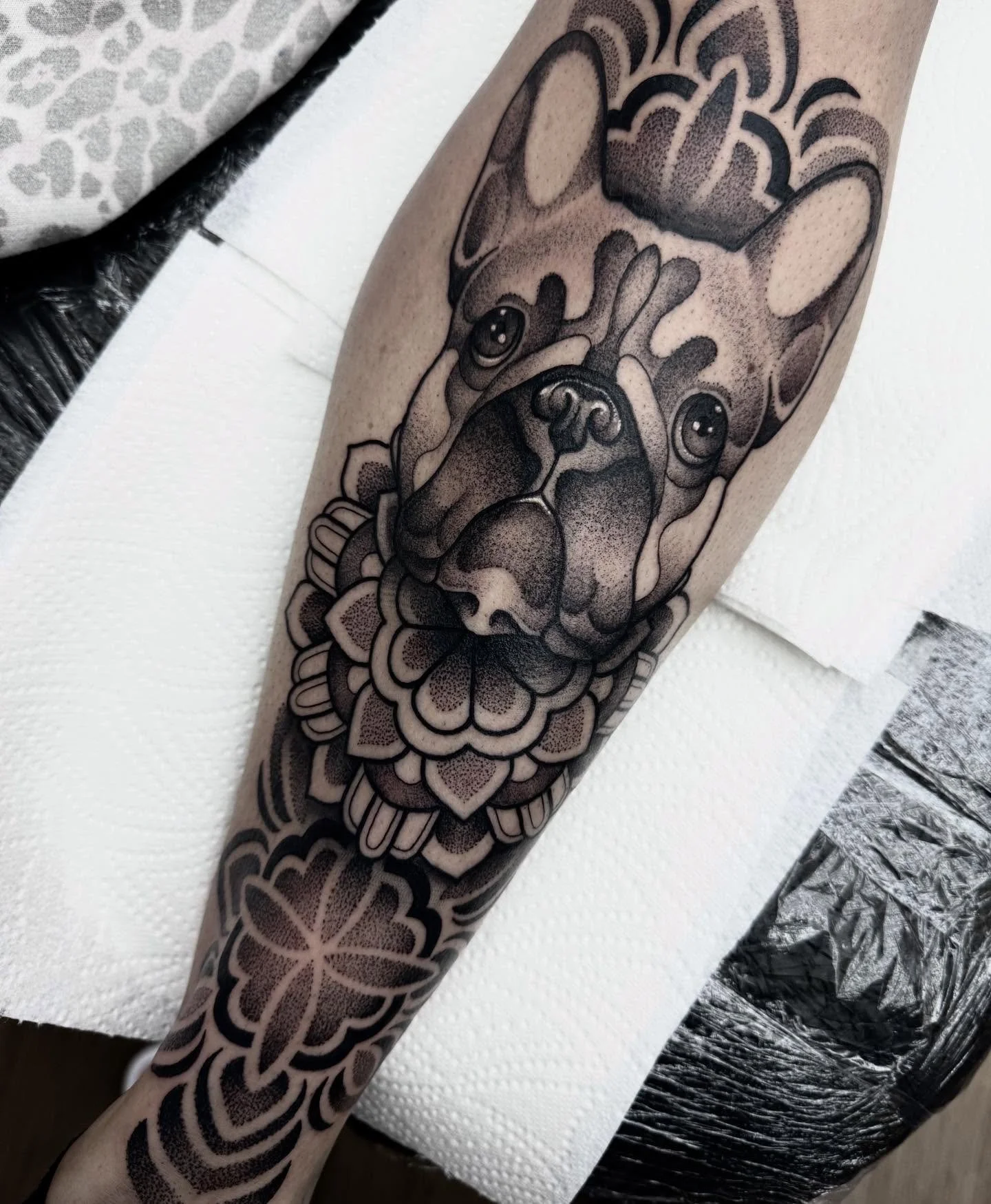 Frenchie tattoo by @shandannmarie 
Dm her to book in or enquire 
#frenchie #frenchietattoo #legtattoo #mandala #mandalaart