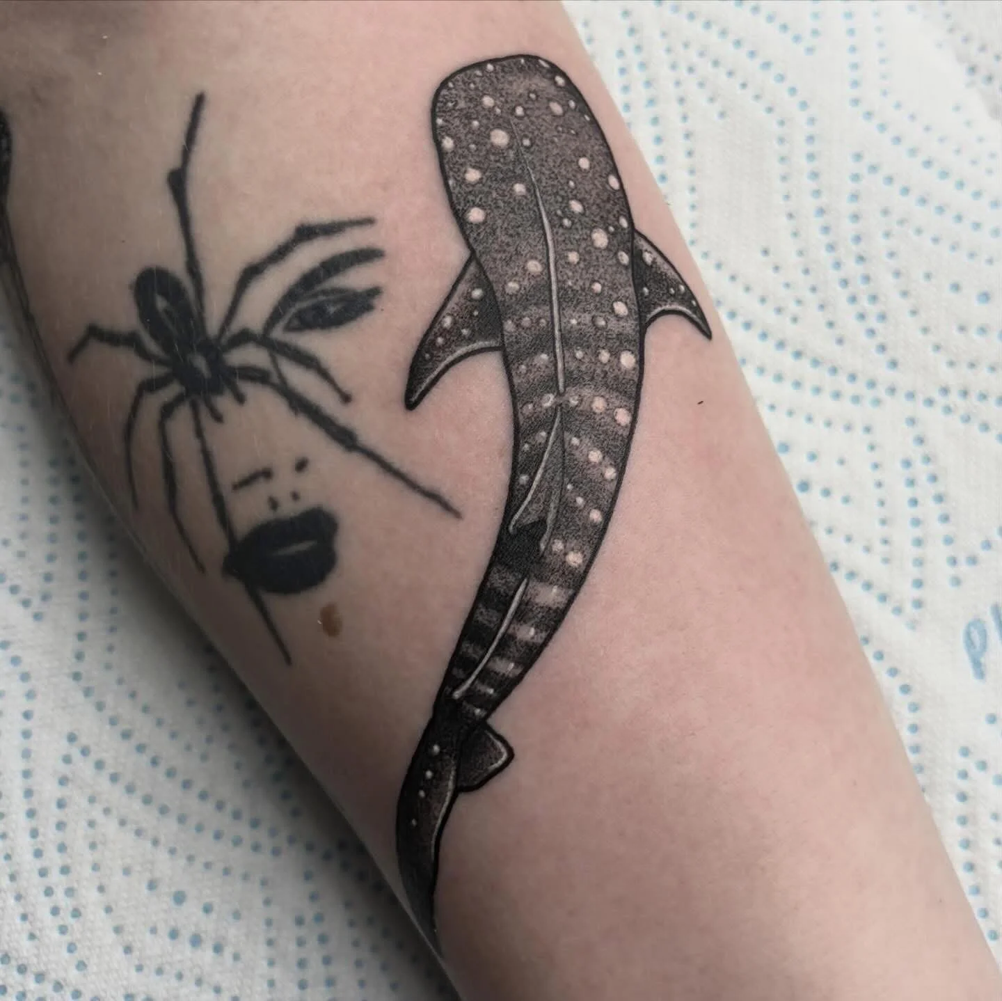 Whale shark by @ambergoldietattoo 
#shark #sharktattoo #whaleshark #dotworktattoo #tattoo