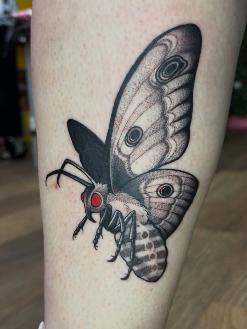 Moth tattoo by @ambergoldietattoo Amber has spaces available in May and June, dm her if you&rsquo;d like to book in or enquire 
#moth #mothtattoo #mothman #dotworktattoos