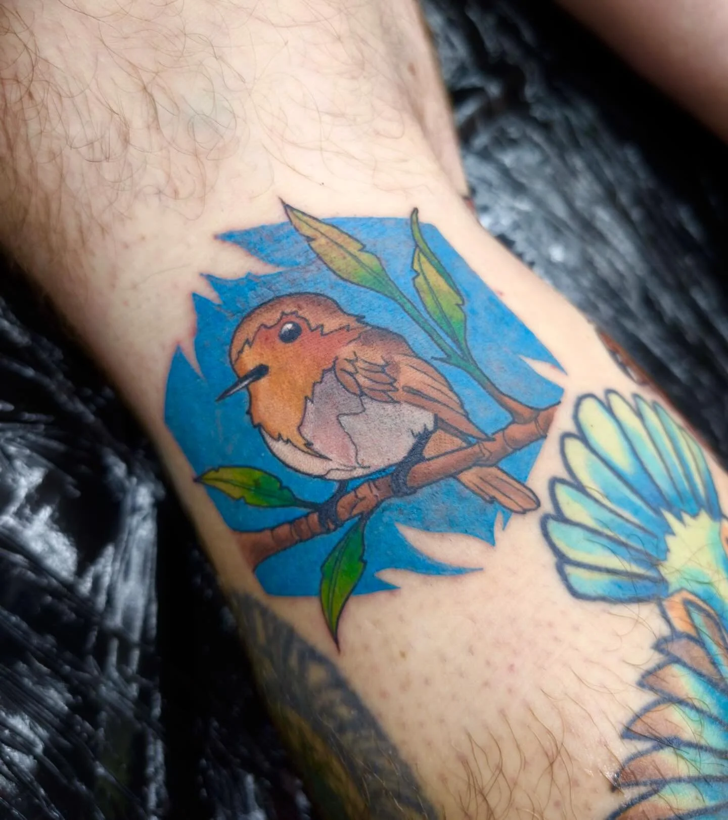 Wee robin by @shaunboytattoo82 
#robin #robintattoo #colourtattoo #tattoo