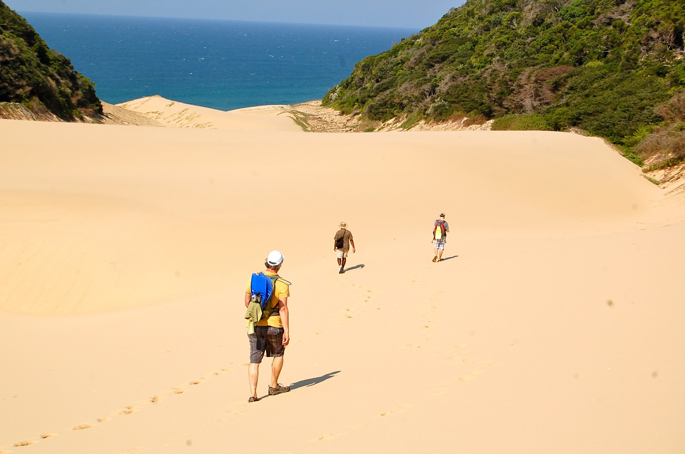hikers on sand next to ocean