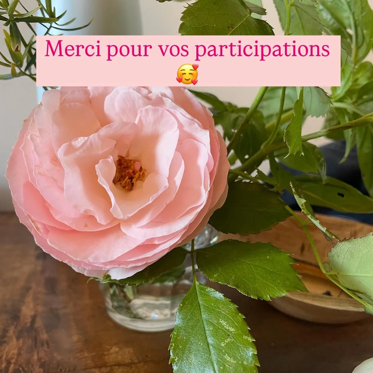 Un immense MERCI &agrave; vous tous et toutes qui avez particip&eacute; au jeu concours 🥰

Le nom du gagnant &agrave; &eacute;t&eacute; tir&eacute; au sort, je le contact en MP. 
Les curieux ont 24h pour le voir en story 🃏

J&rsquo;en profite pour 