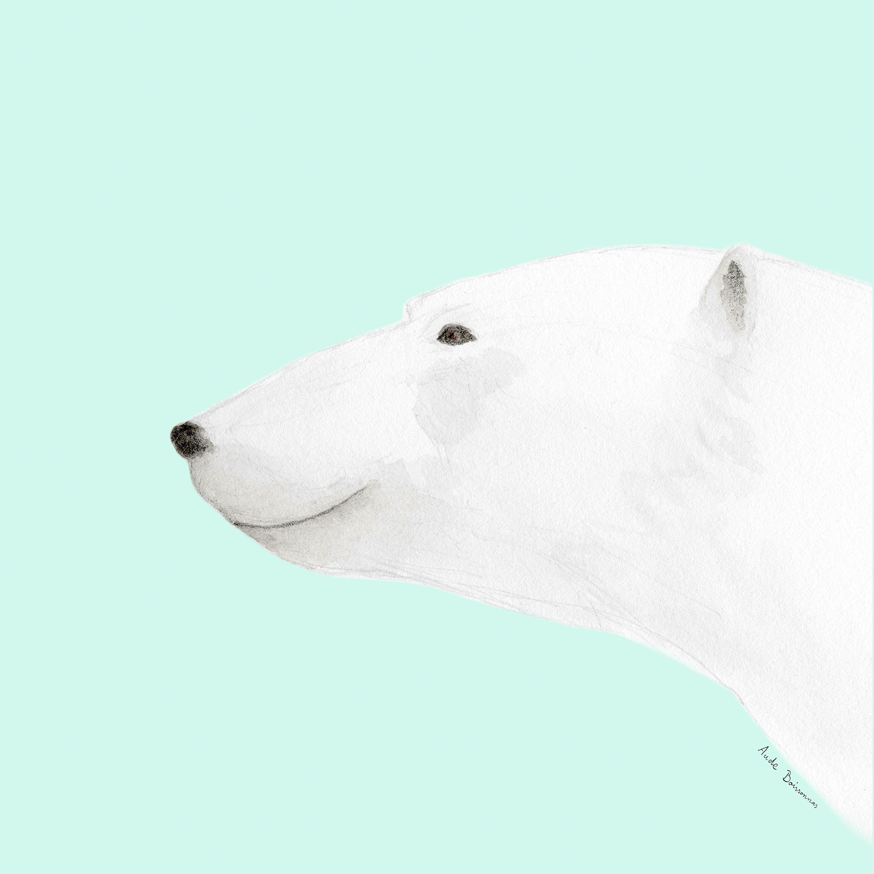 ours-blanc-55.png