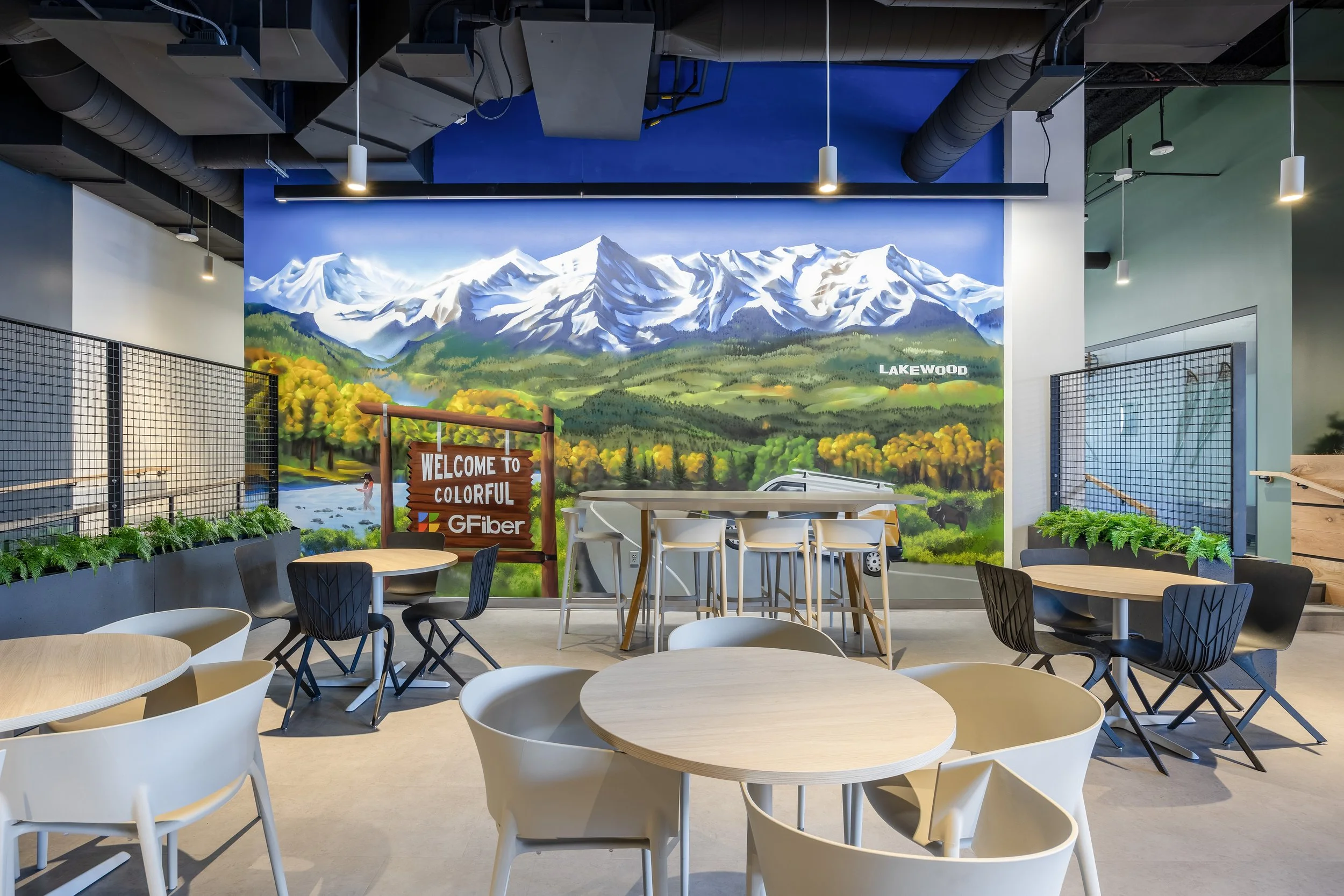 Google Fiber (6).jpg