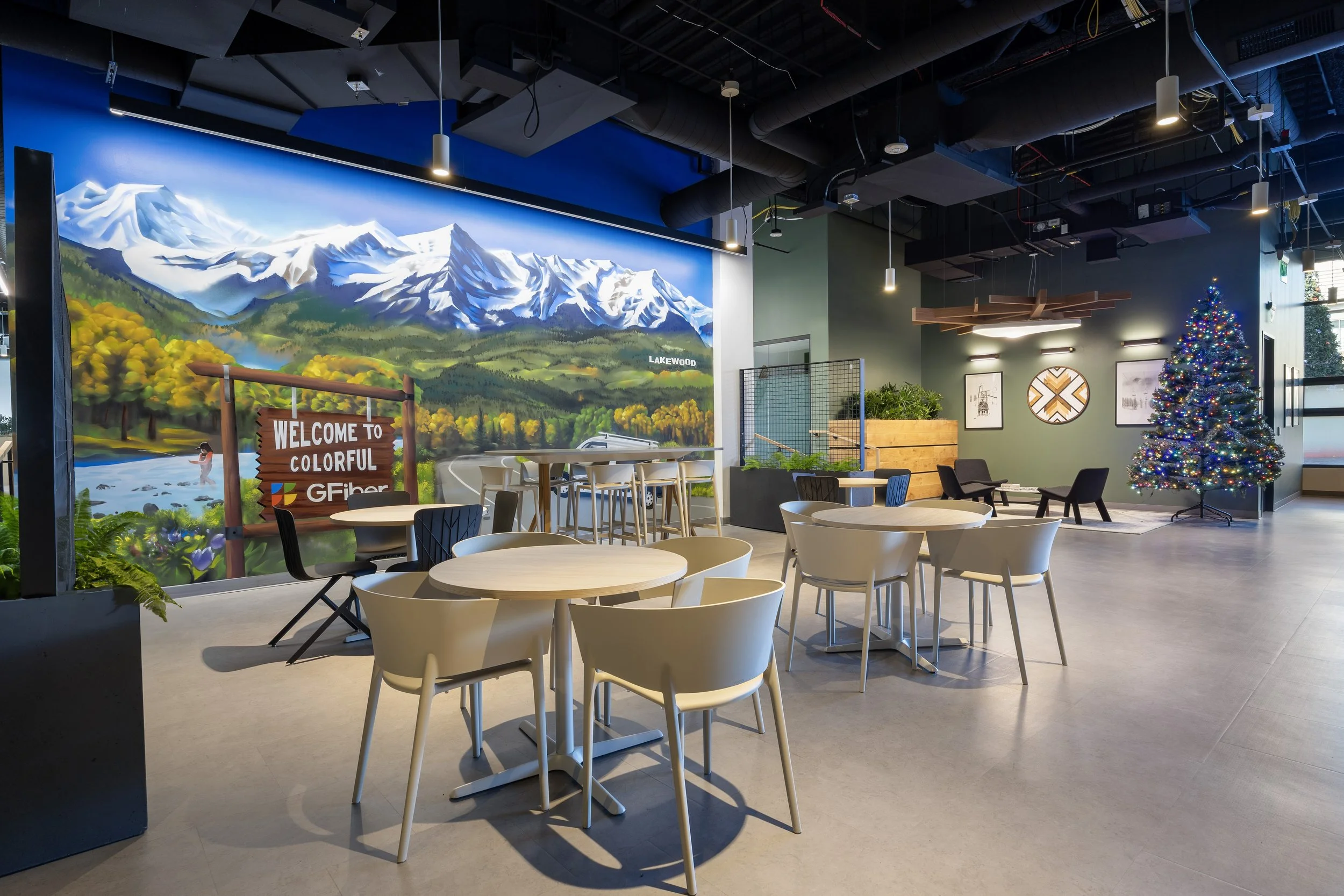 Google Fiber (5).jpg