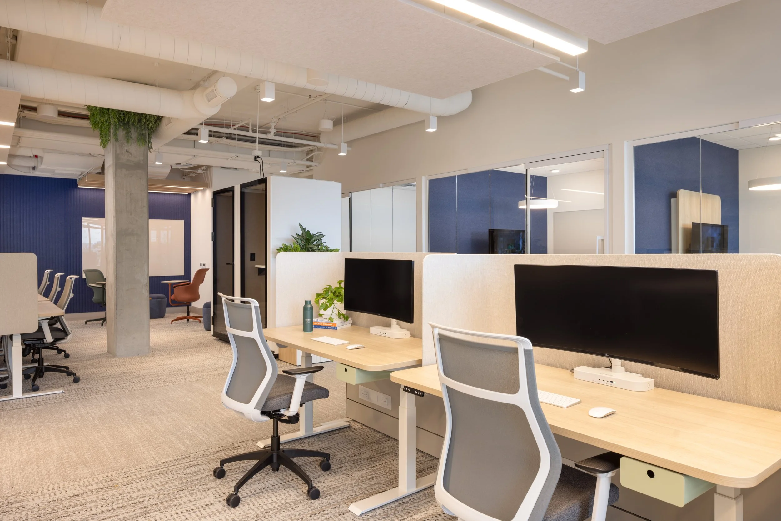 LG Ad Solutions (4).jpg