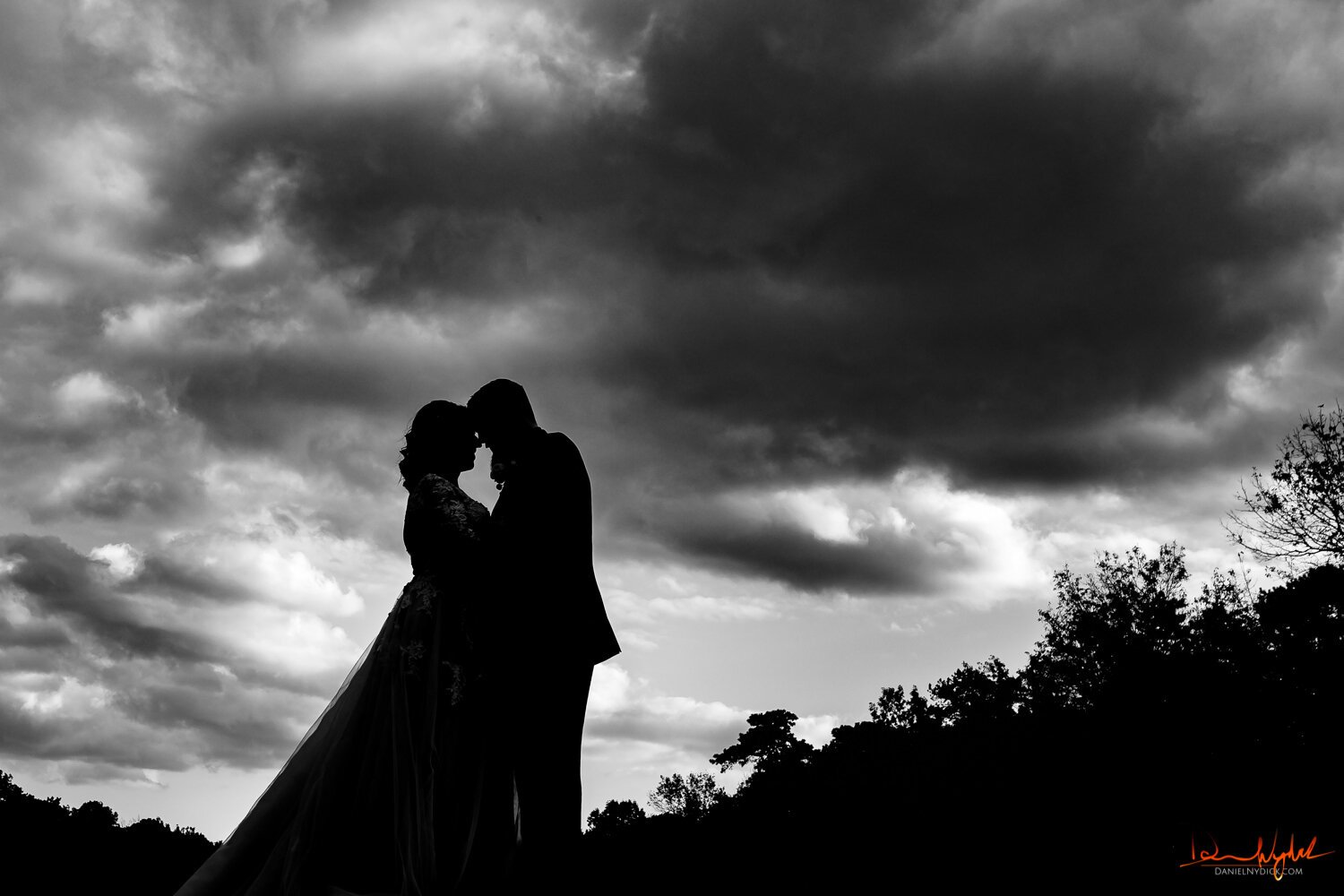 nj wedding portrait silhouette