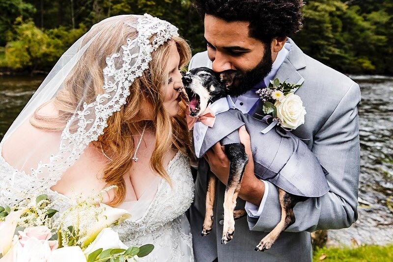 🦴 Throw &lsquo;em a bone
🐾 These #pawesome pals
🦮 Bring extra personal meaning 
🐩 They&rsquo;re our fur babies
🥳 And they deserve to be a part
🐶 Of every day
🐕 Especially our #weddingday 

#weddingceremony #woof #weddingplanning #ringbearer #i
