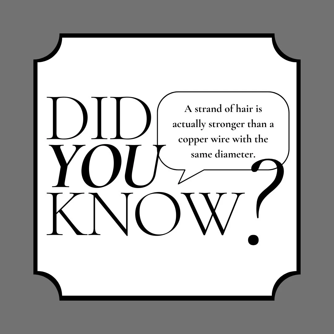 Who Knew Hair Had Superpowers? Our stylists at Beyond Basics did! Schedule an appointment today by calling 910.452.0072!

📍 1124 Floral Parkway, Wilmington, NC
 
 #lanza #lanzahaircare #LocalLuxury #BeyondBasicsBoutique #WilmingtonSalon #LuxuryHairC