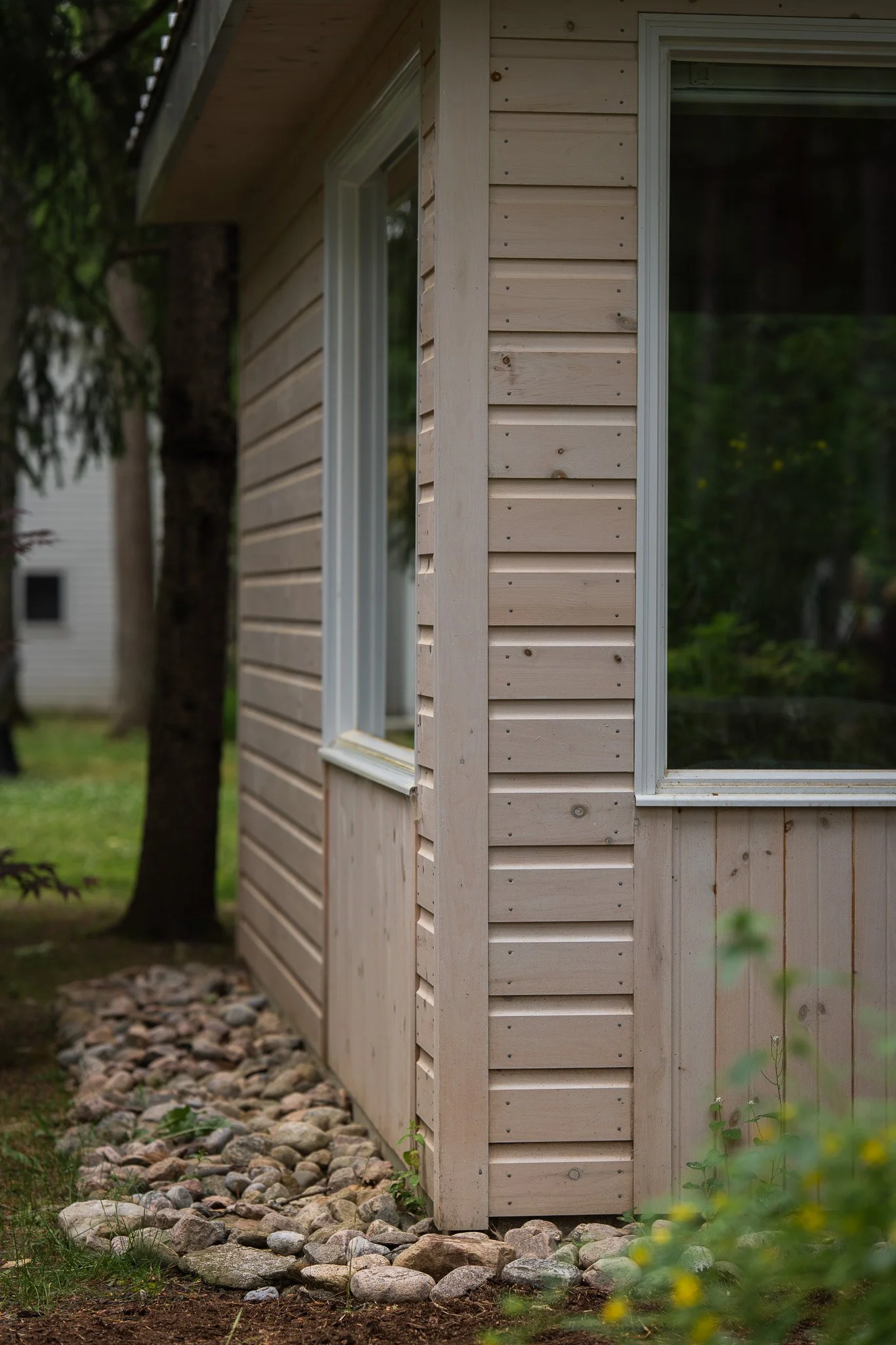 DSC02201.jpg