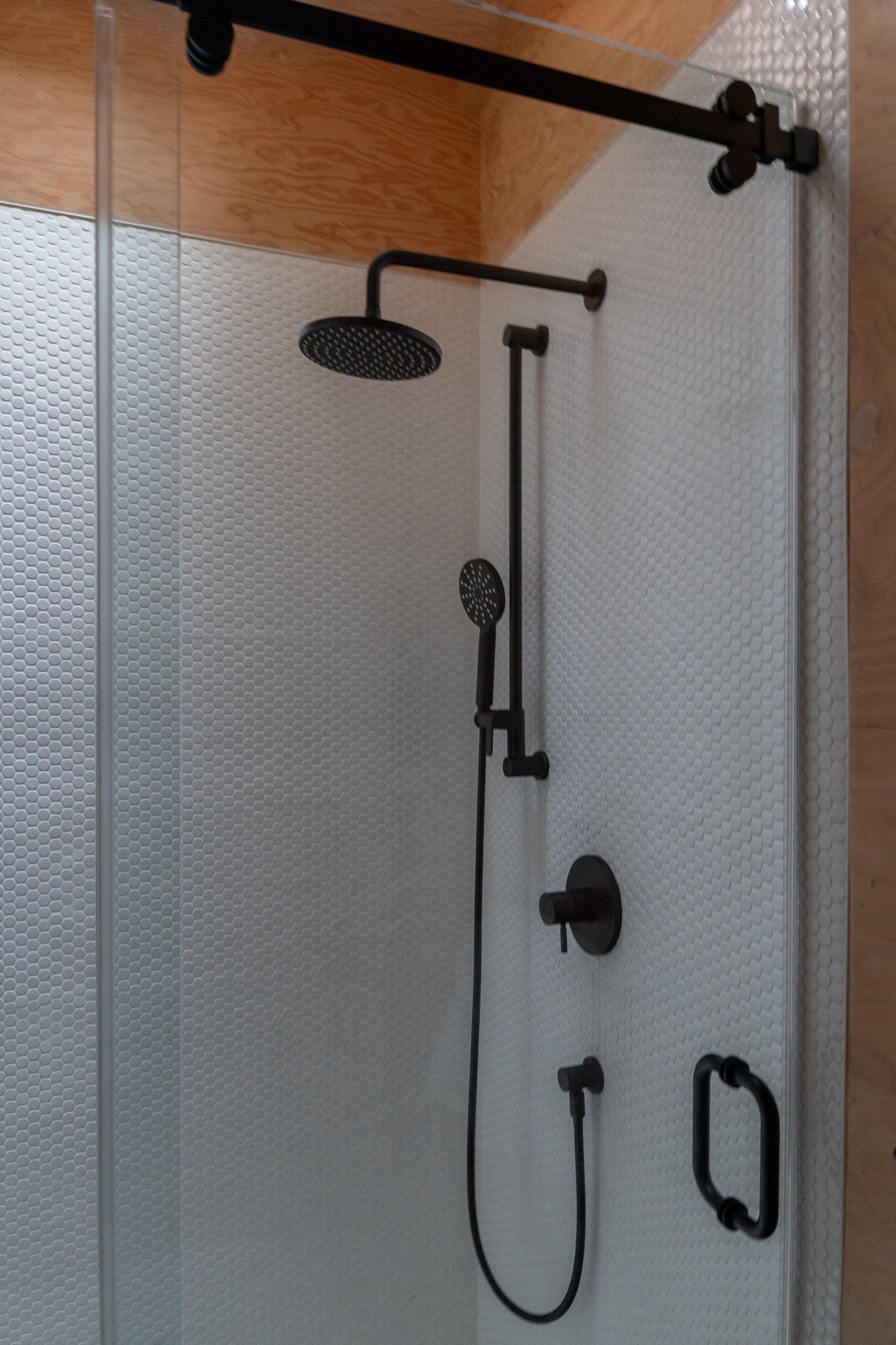 DSC02377.jpg