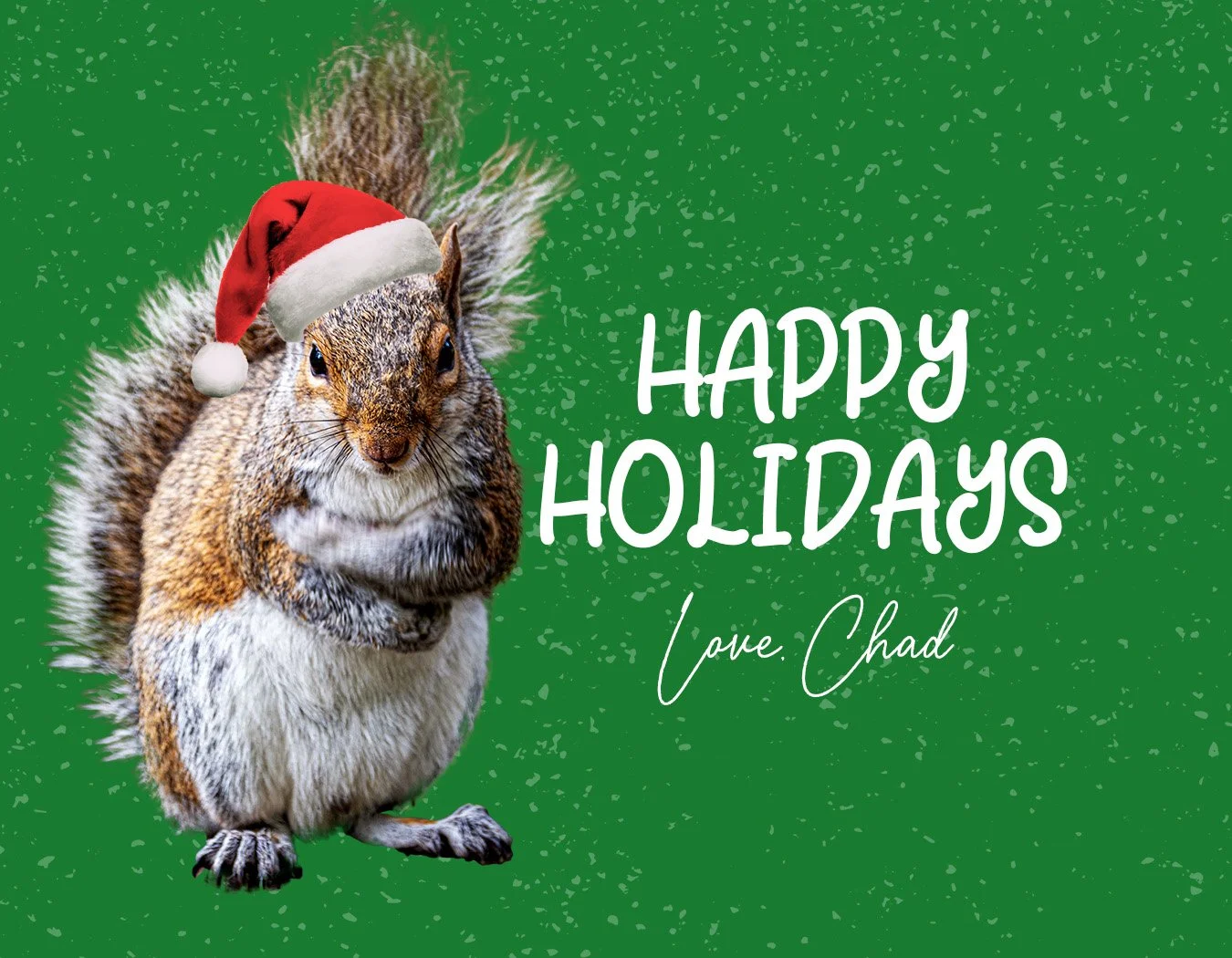 ChadTheSquirrel_Holiday.jpg