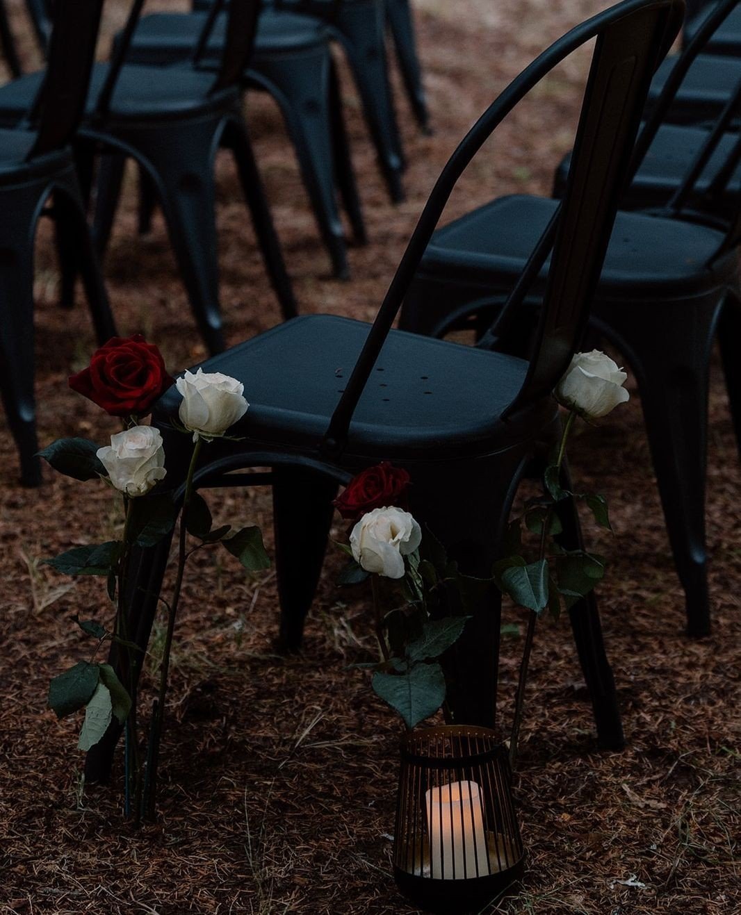 Is it just me, or do you love that we have some moody wedding pallets happening. I'm all for a new idea. Also, I love that we get sunshine until 8pm here in Victoria! ⁠
⁠
#moodyweddings #roses #weddingroses #love #gothicwedding #victoriabc #yyjweddin