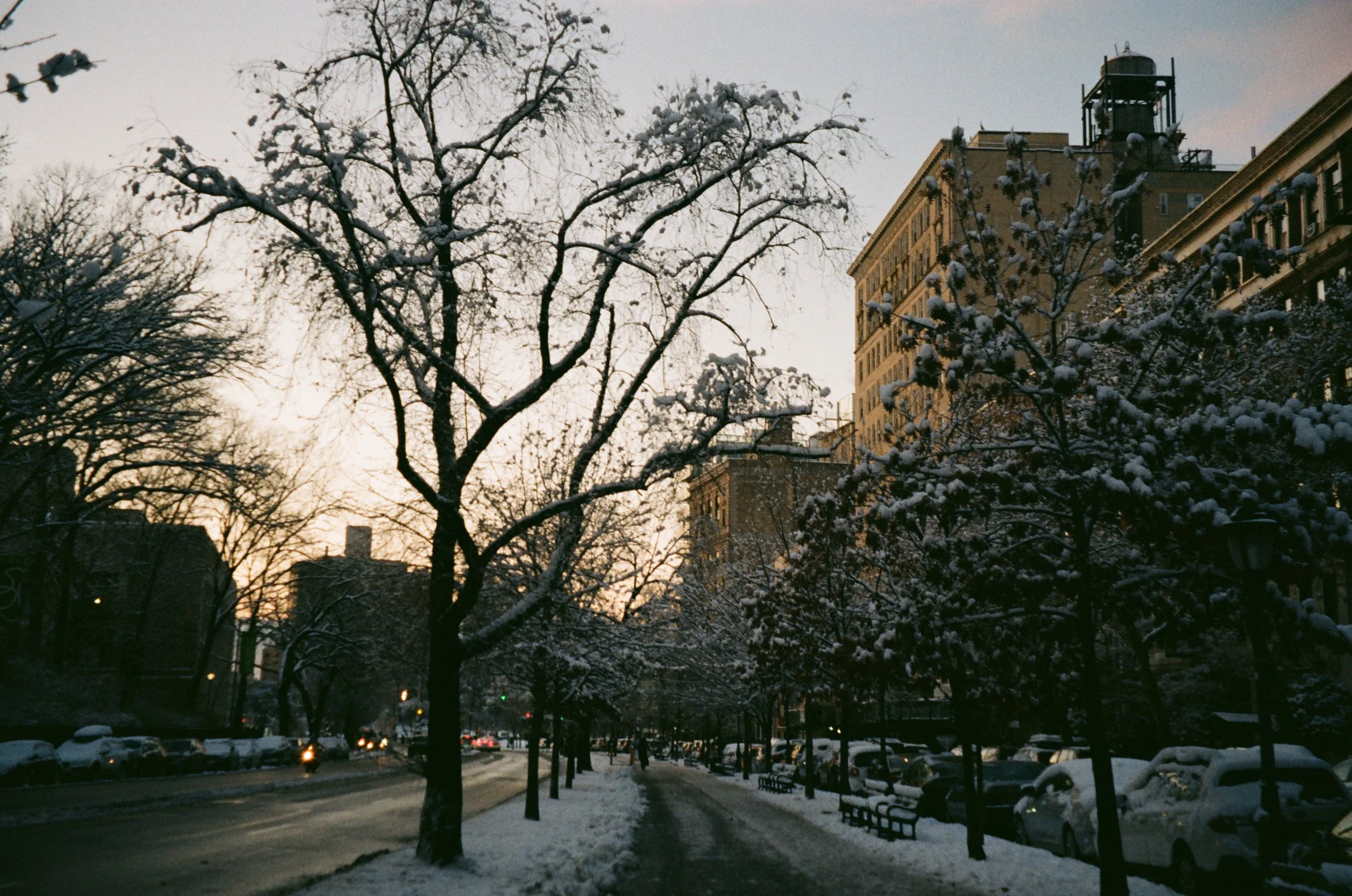 compressed_image 6.jpg