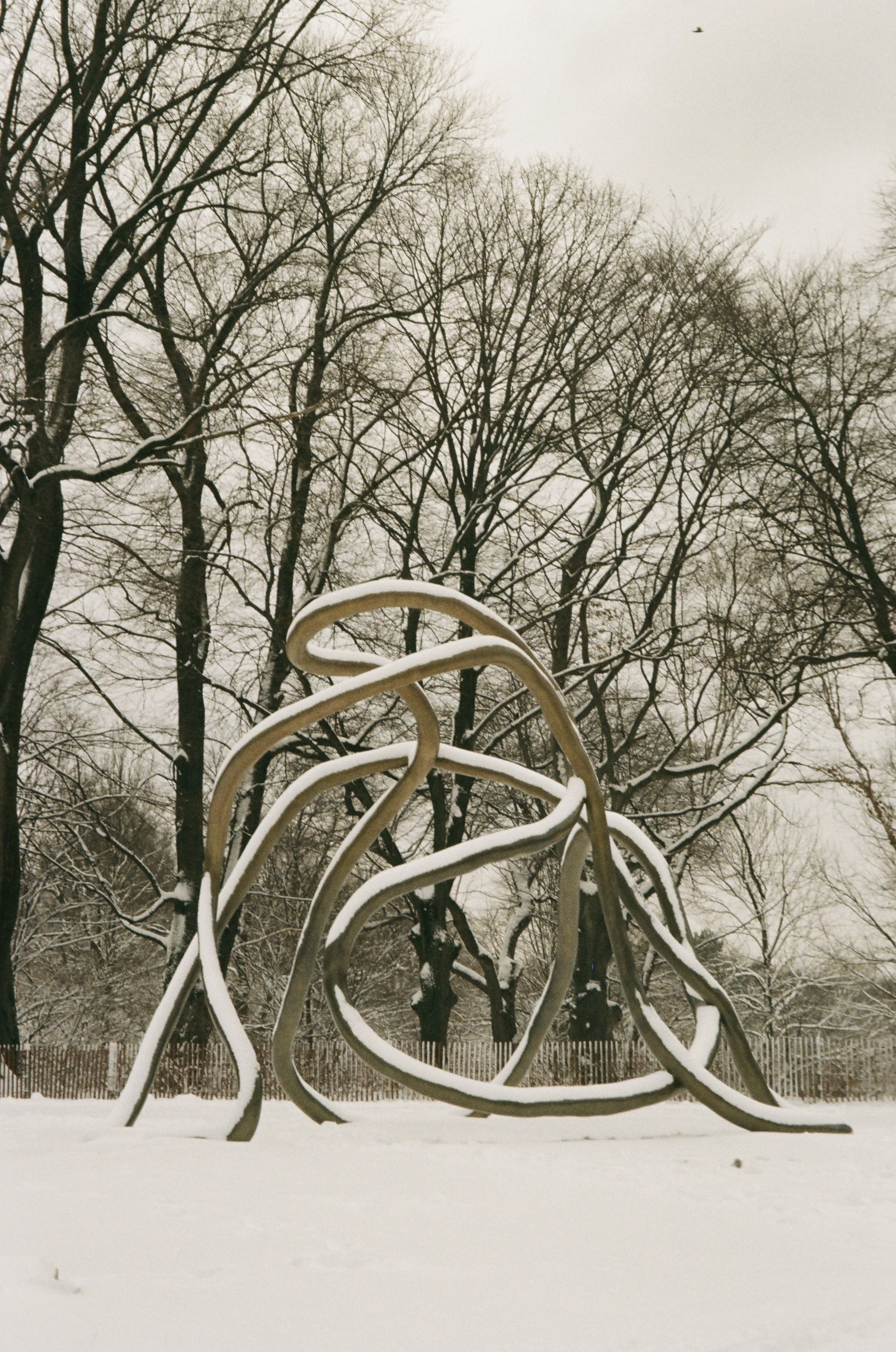 compressed_image 8.jpg